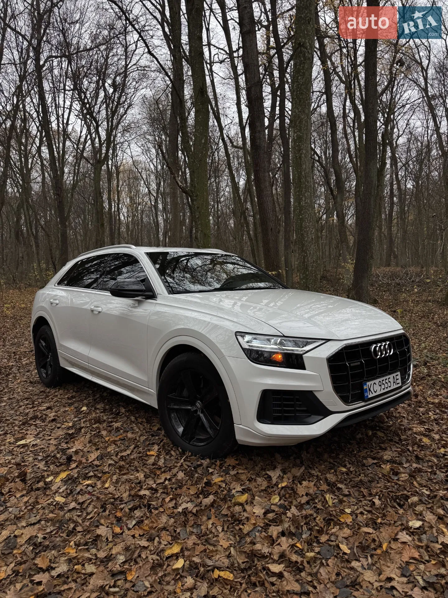 2018 Audi Q8 - мініатюра 8