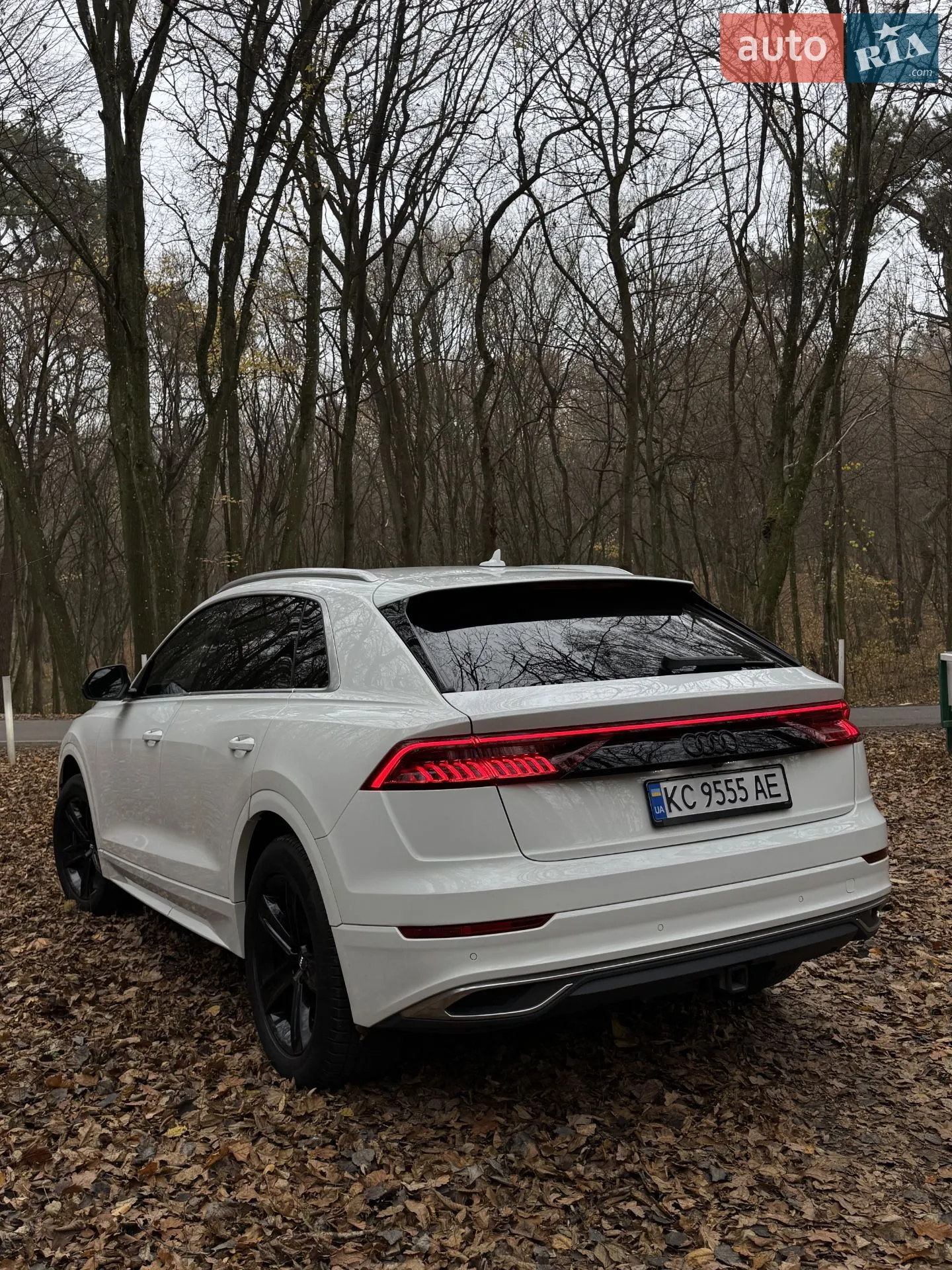 2018 Audi Q8 - мініатюра 14