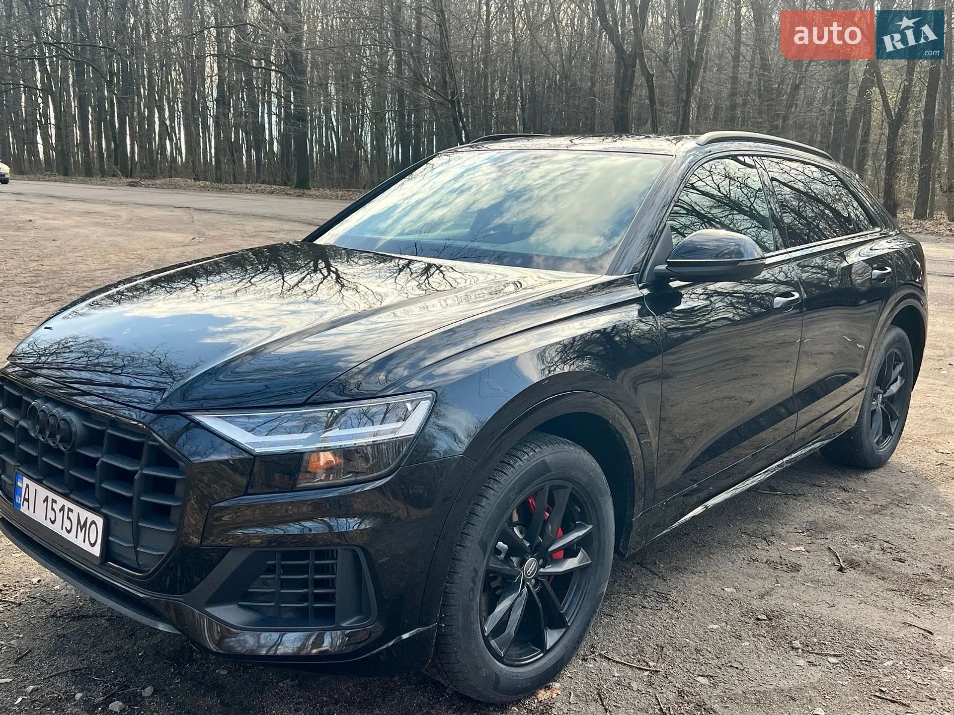 2018 Audi Q8 - мініатюра 2