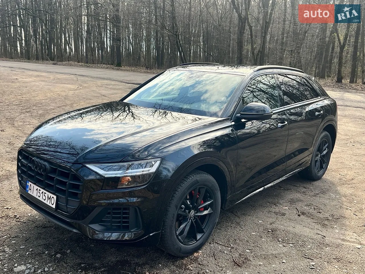 2018 Audi Q8 - мініатюра 10