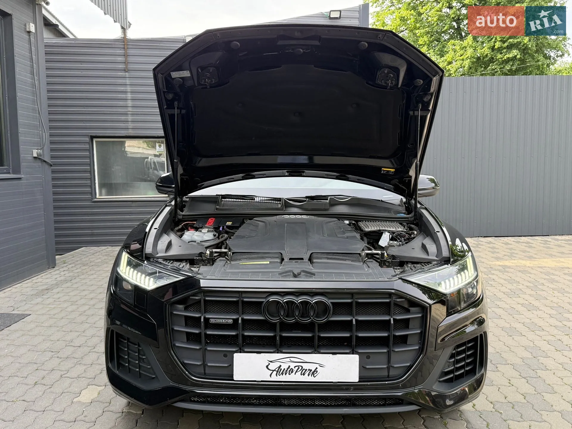 2019 Audi Q8 - мініатюра 32