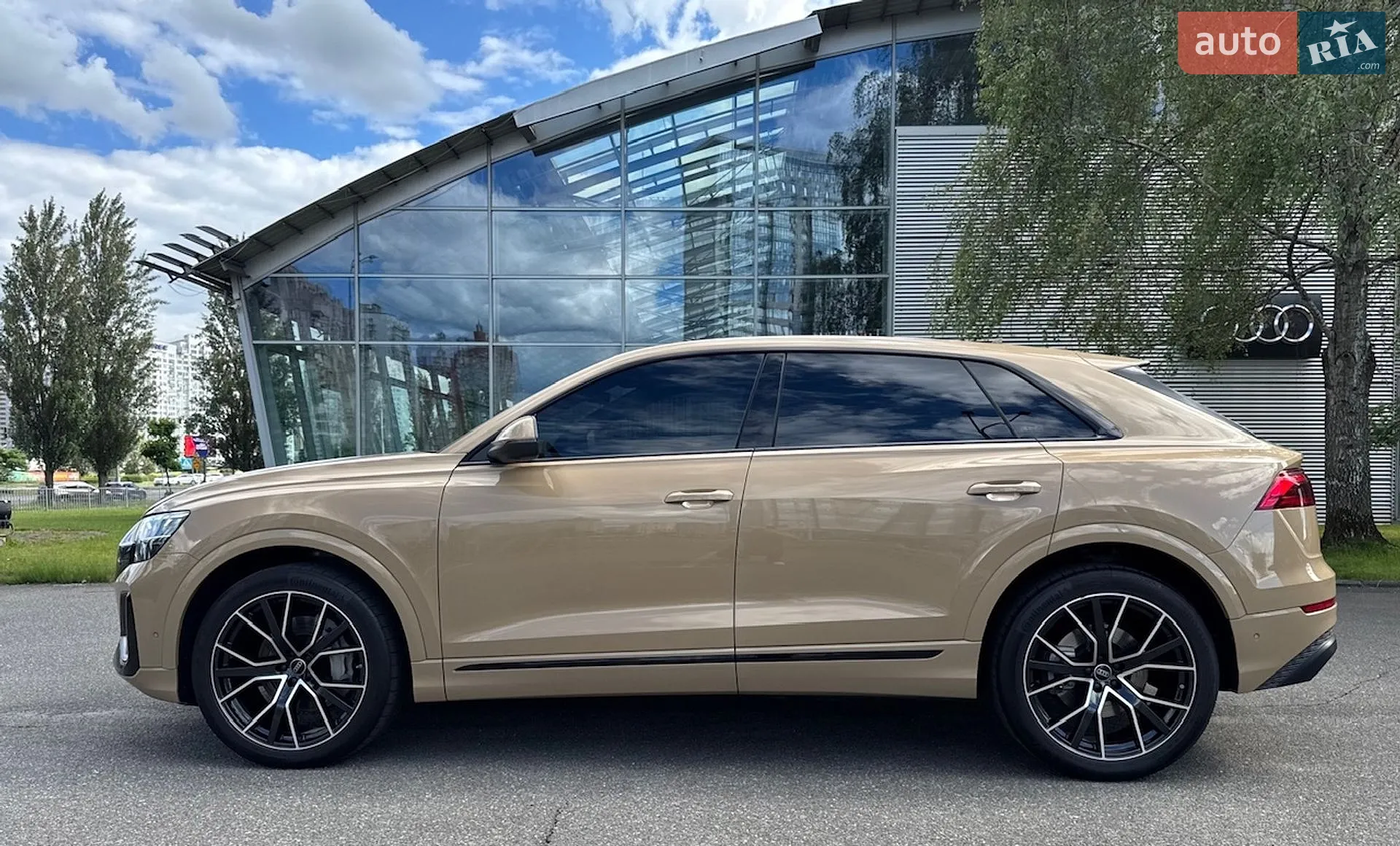 2025 Audi Q8 - мініатюра 97