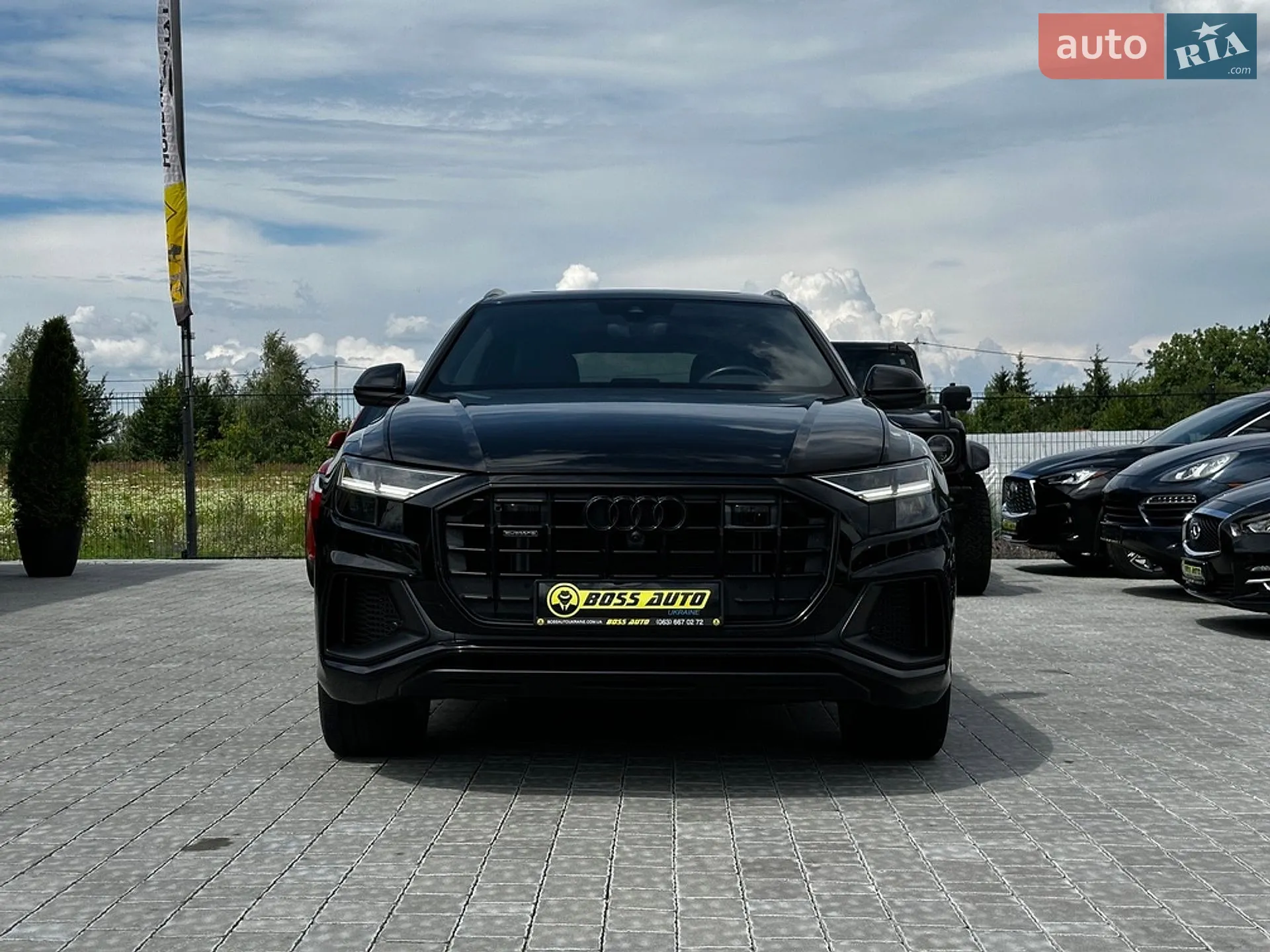 2019 Audi Q8 - мініатюра 2