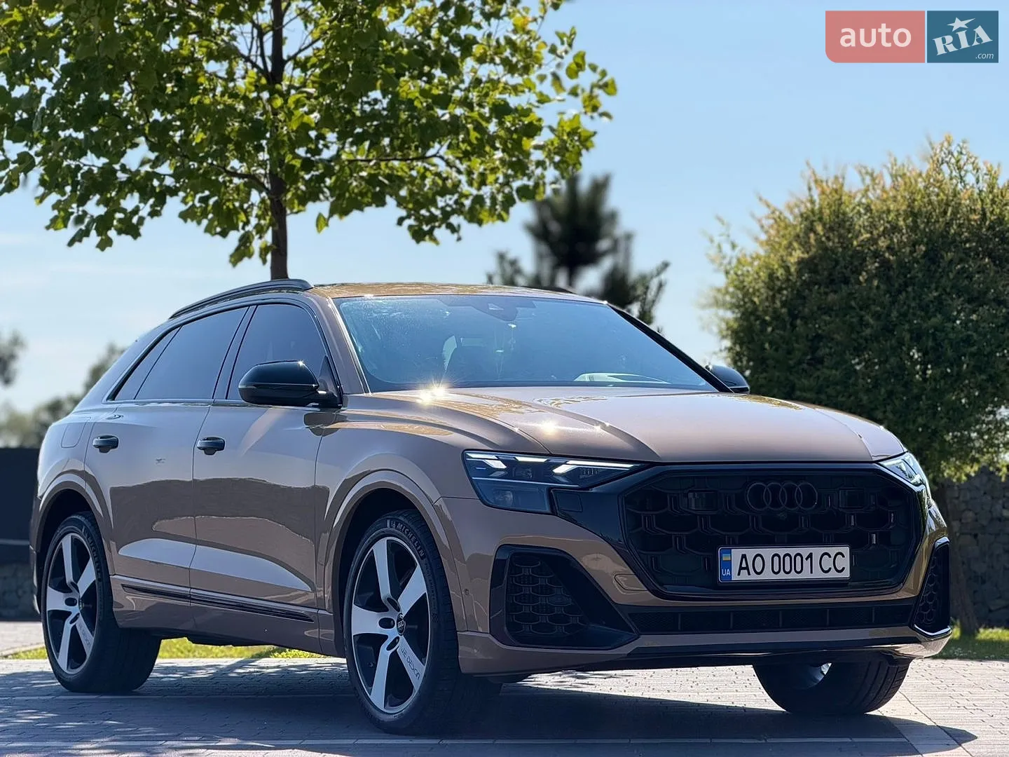 2024 Audi Q8 - мініатюра 10