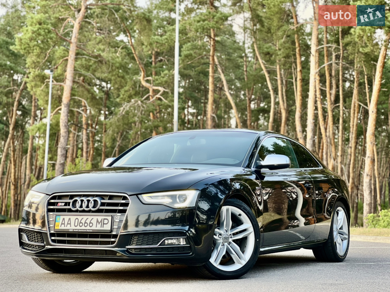 2013 Audi S5 - мініатюра 28