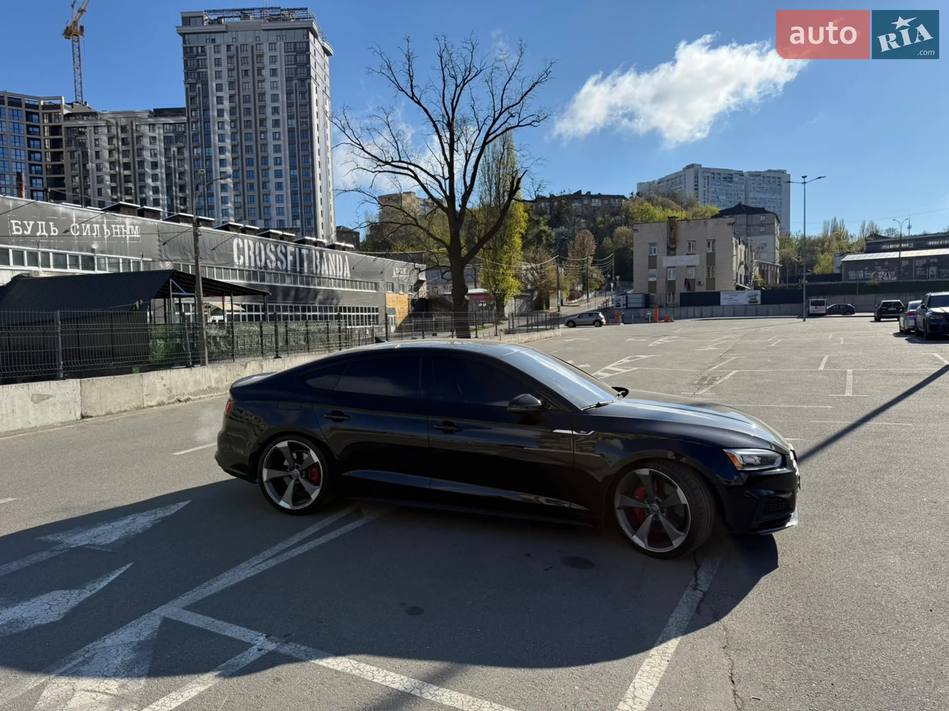 2019 Audi S5 - мініатюра 3