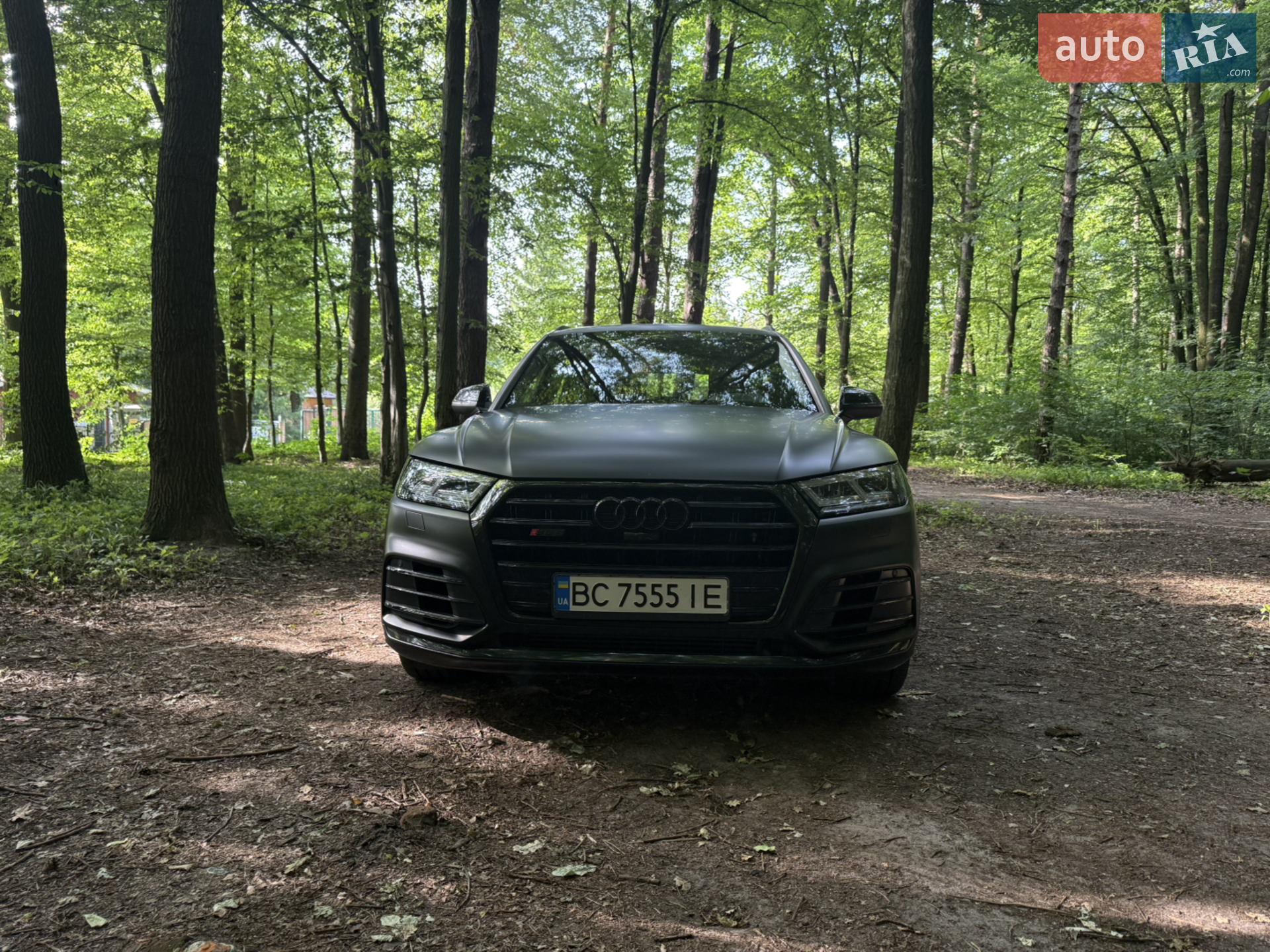 2017 Audi SQ5 - мініатюра 2