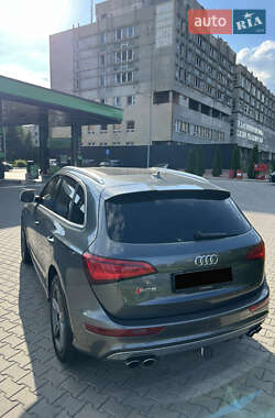 Внедорожник / Кроссовер Audi SQ5 2016 в Черкассах