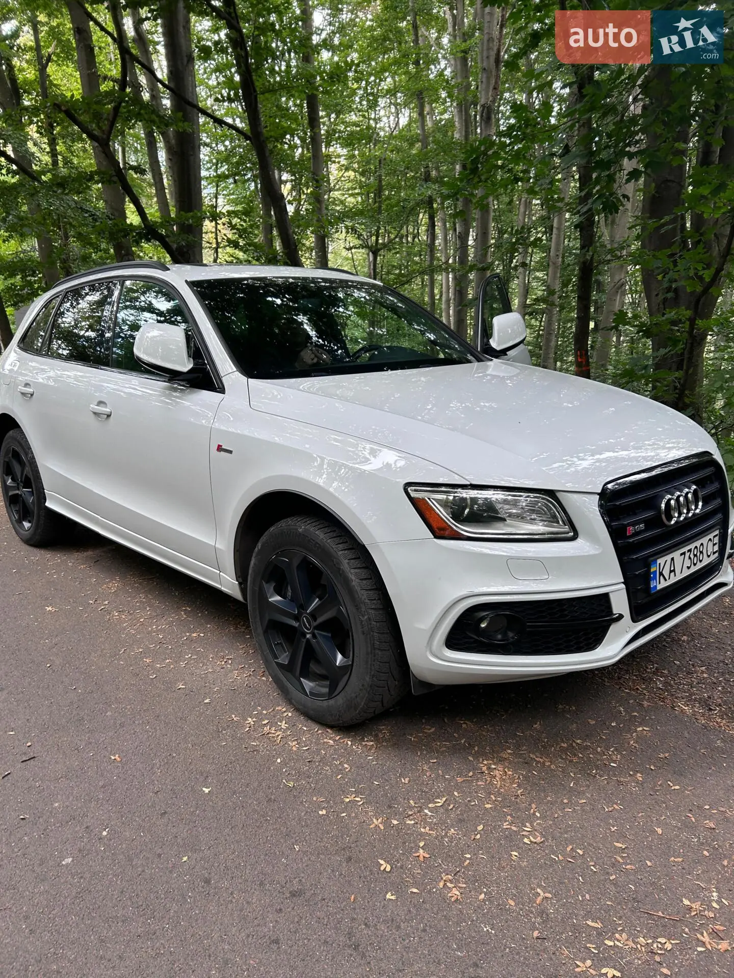 Audi SQ5 I (8R)