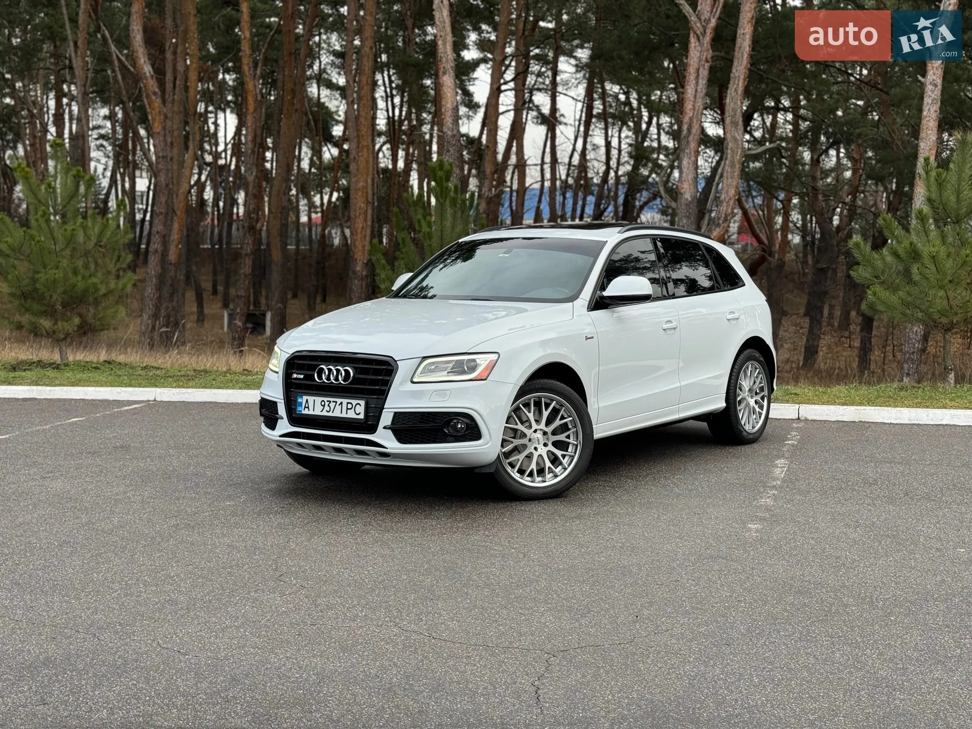 Audi SQ5 2015