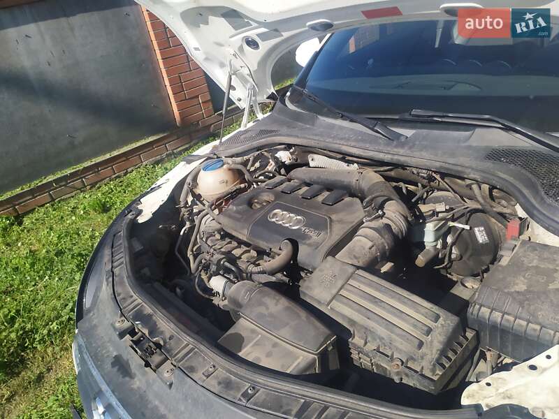 Купе Audi TT 2010 в Недригайлове