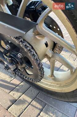 Мотоцикл Без обтекателей (Naked bike) Bajaj Dominar D400 2020 в 