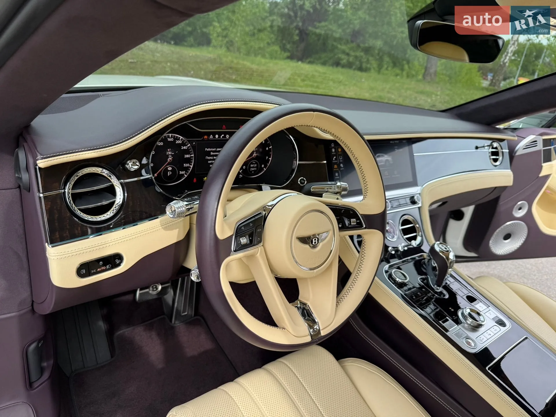 2019 Bentley Continental - мініатюра 60