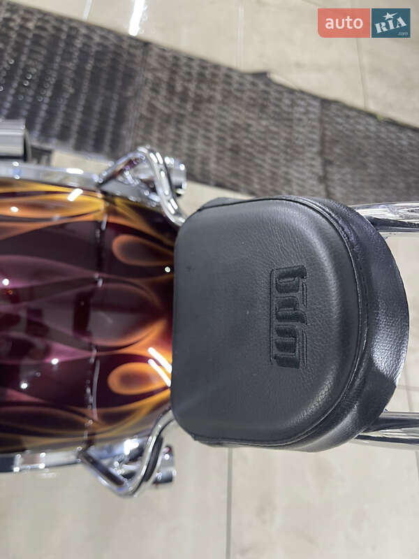 Мотоцикл Чоппер Big dog Pitbull 2008 в Киеве фото 10 Мотоцикл Чоппер Big dog Pitbull 2008 в Киеве