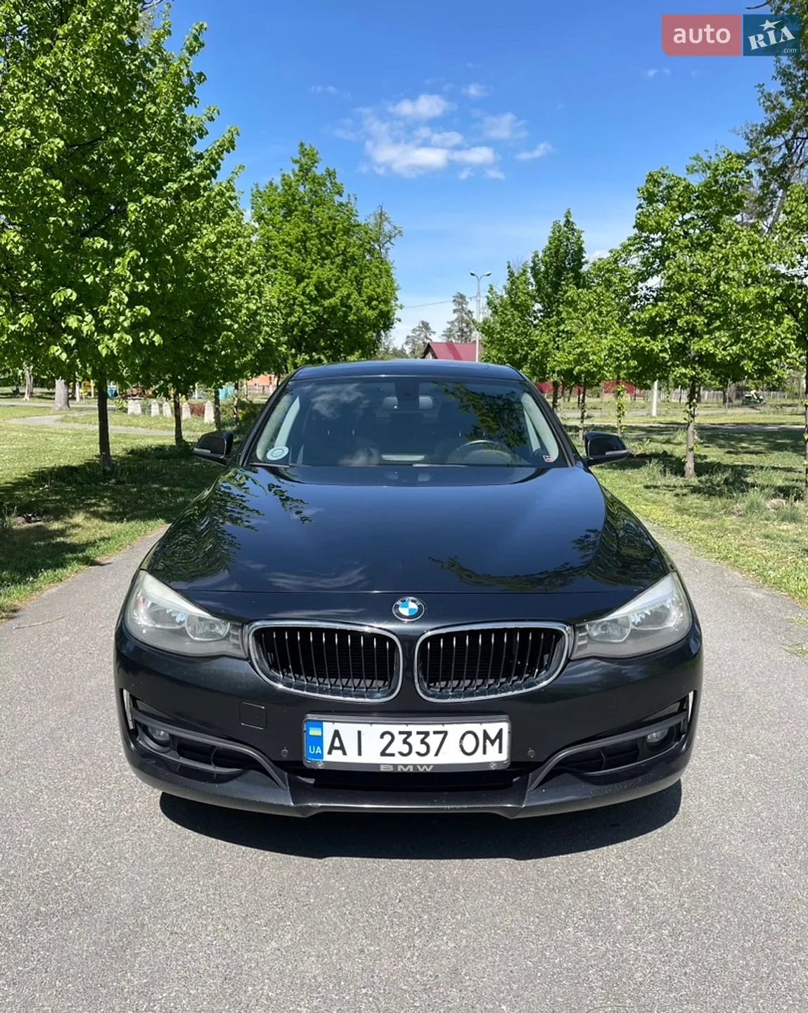 2014 BMW 3er - мініатюра 3