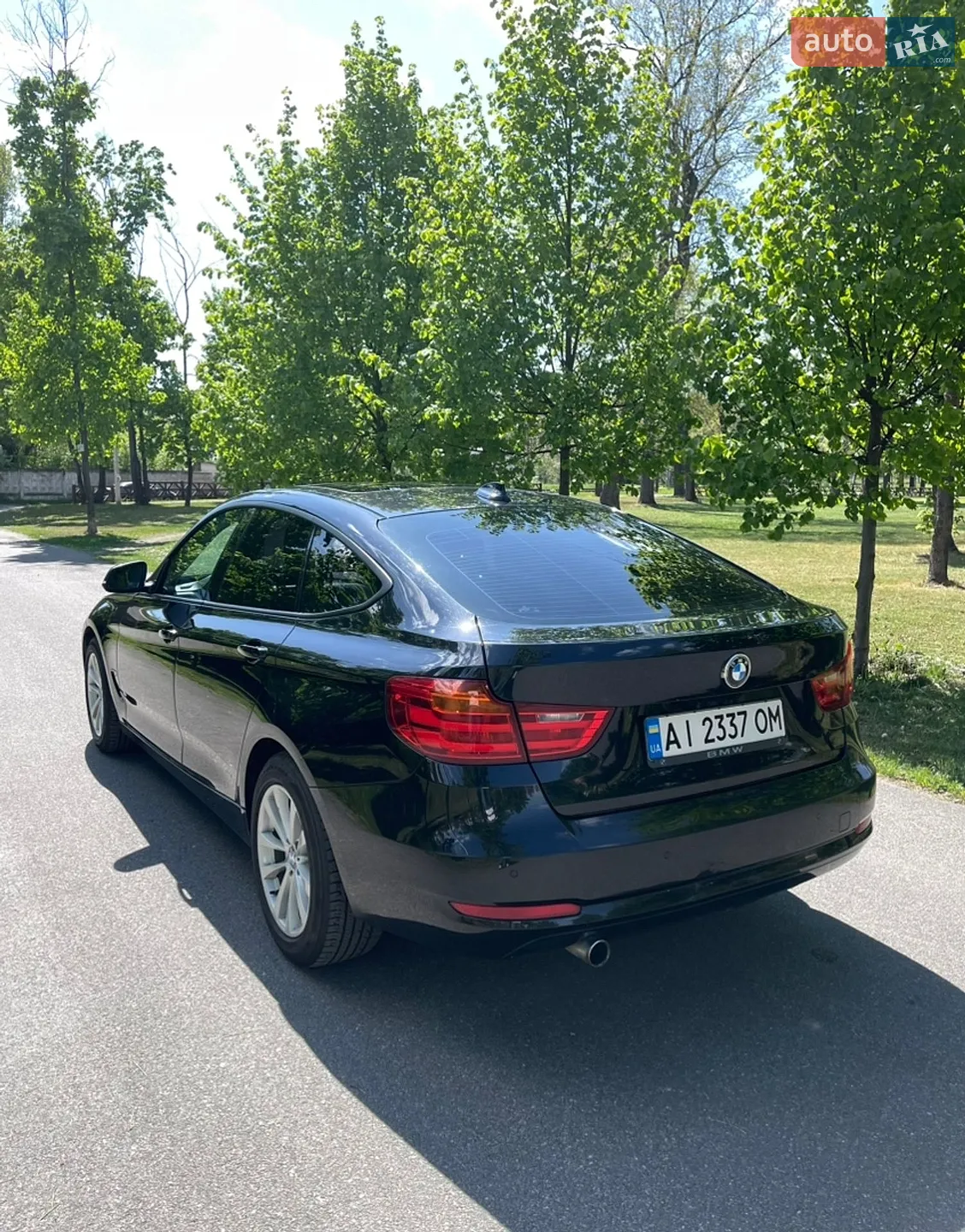 2014 BMW 3er - мініатюра 5