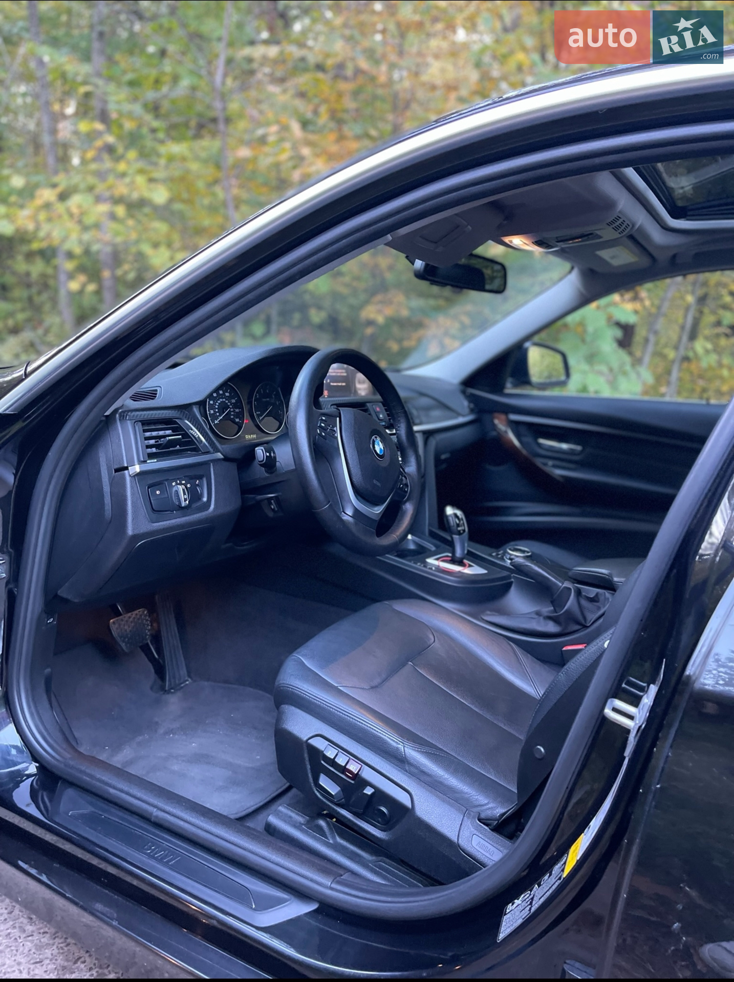 2014 BMW 3er - мініатюра 12