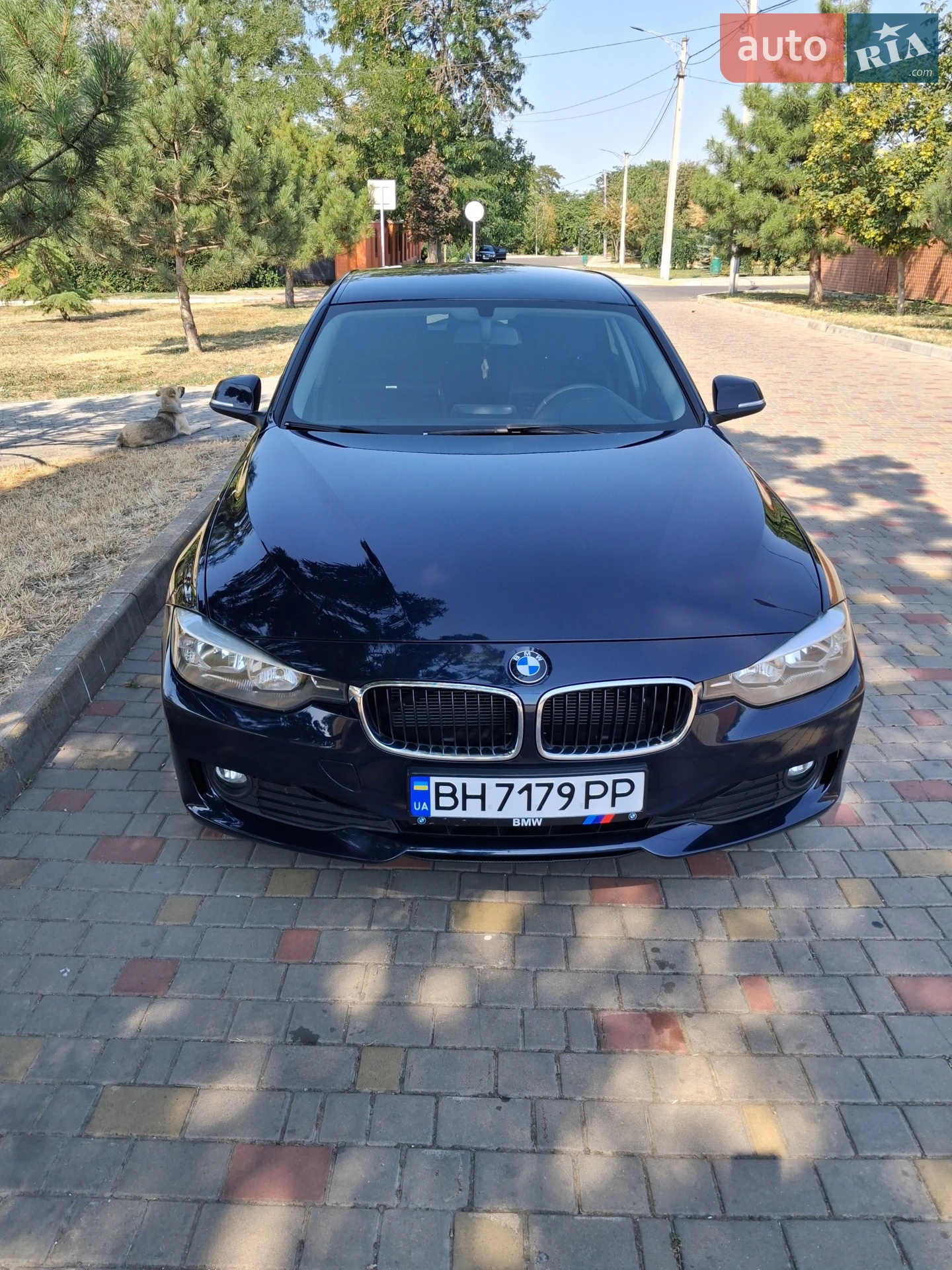 2014 BMW 3er - мініатюра 9