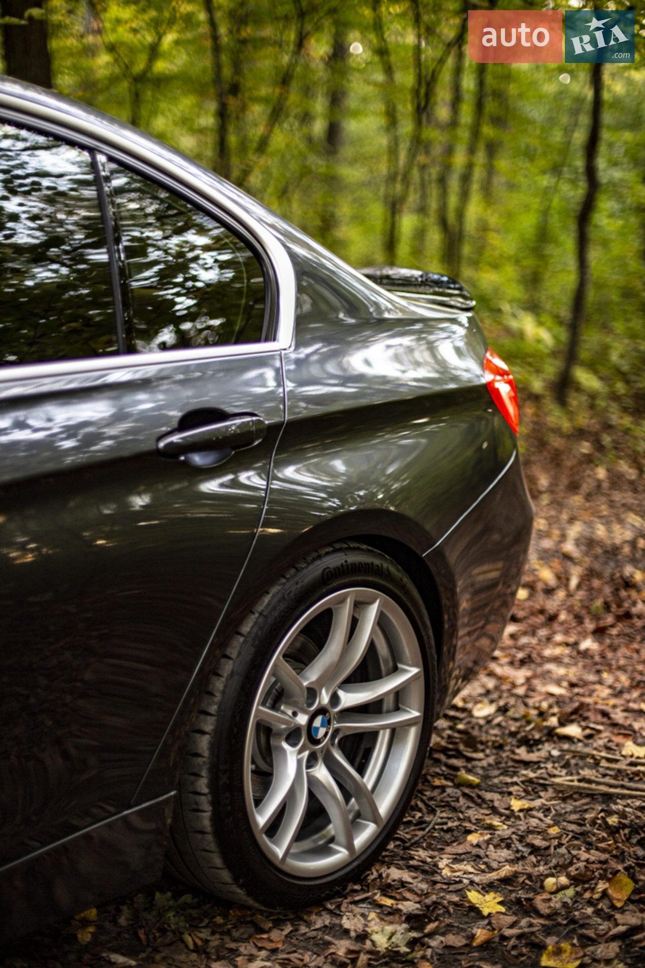 2016 BMW 3er - мініатюра 6