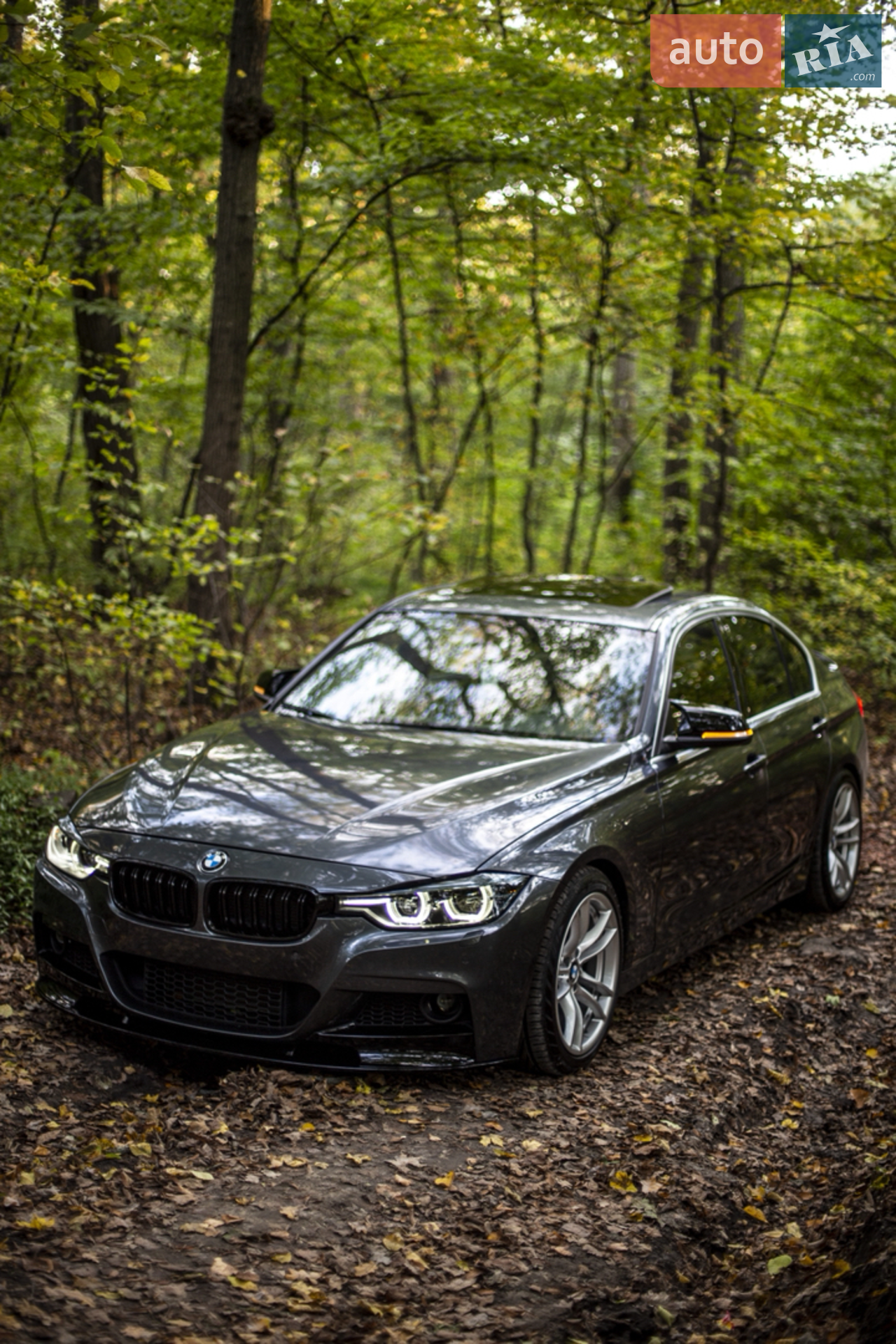 2016 BMW 3er - мініатюра 5