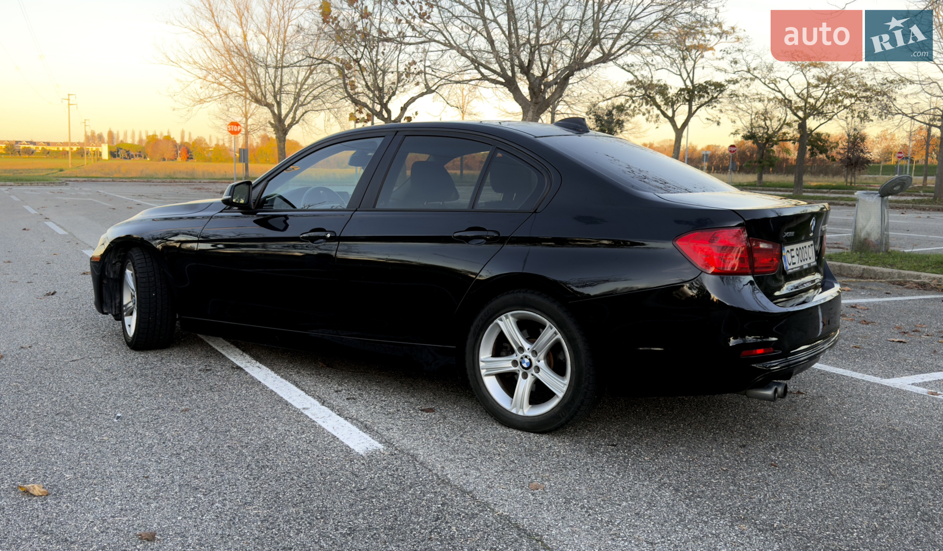 2013 BMW 3er - мініатюра 5