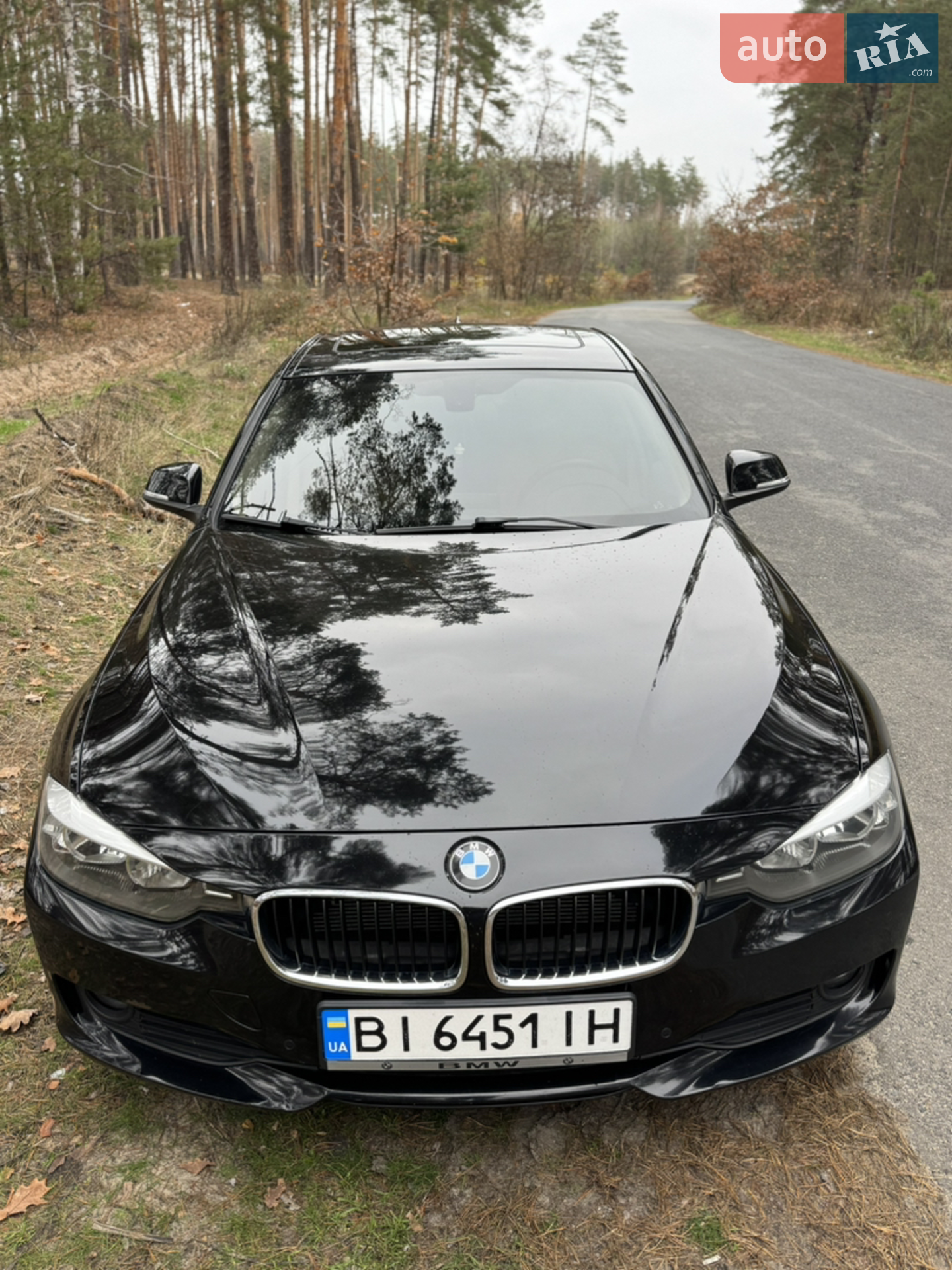 2015 BMW 3er - мініатюра 2