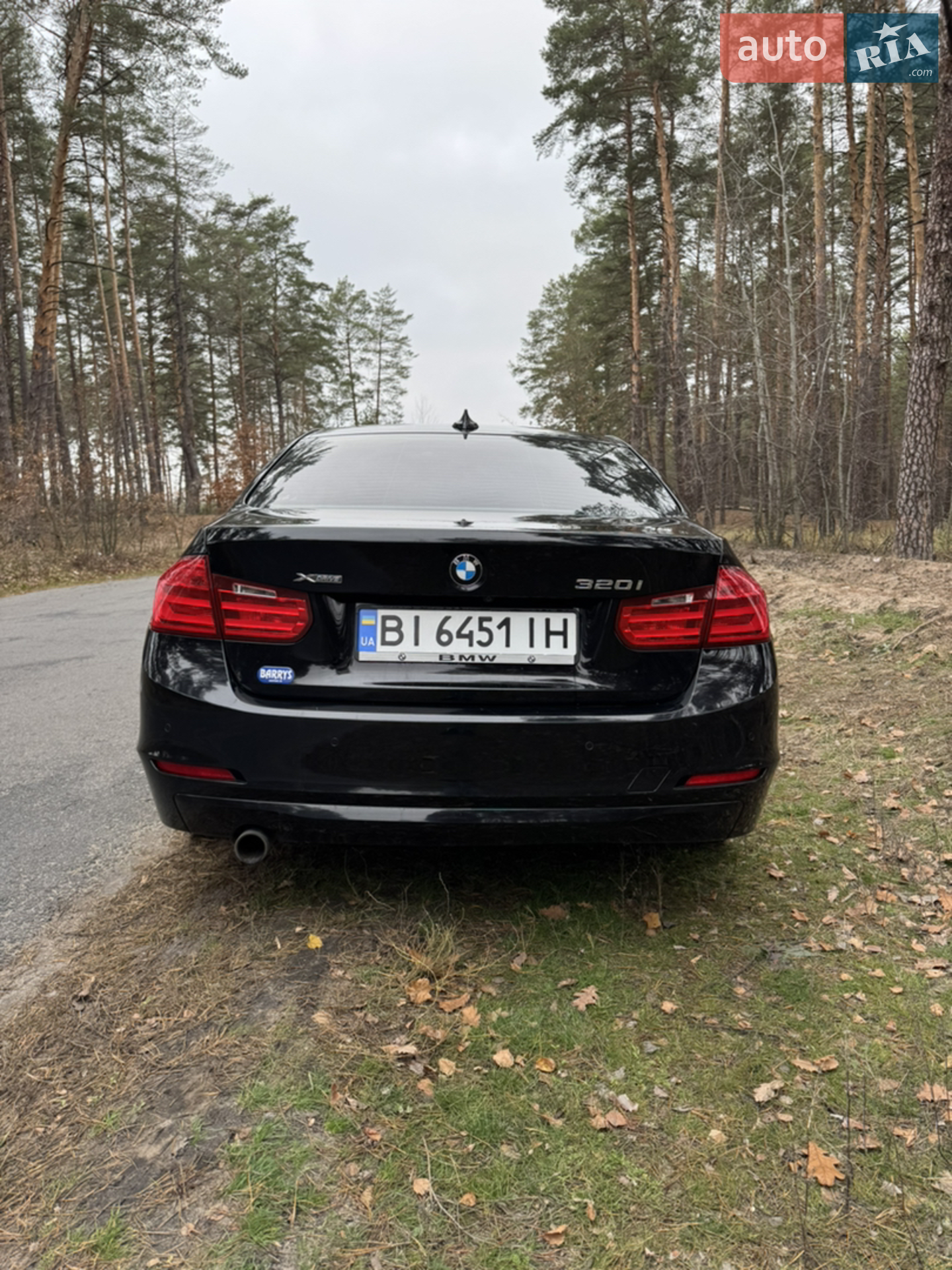 2015 BMW 3er - мініатюра 8