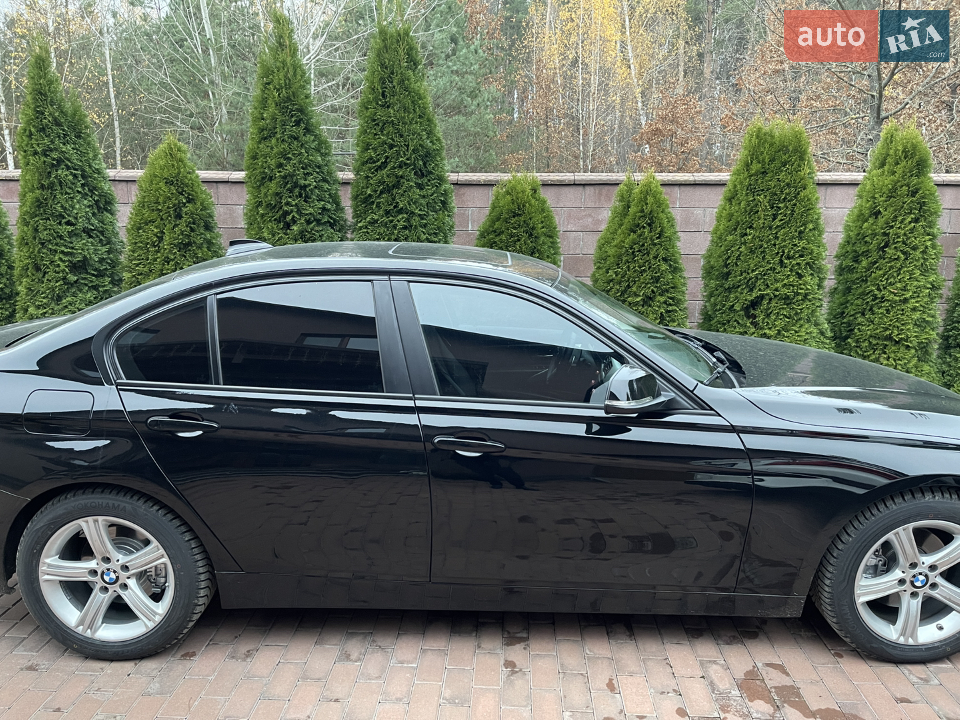 2013 BMW 3er - мініатюра 9