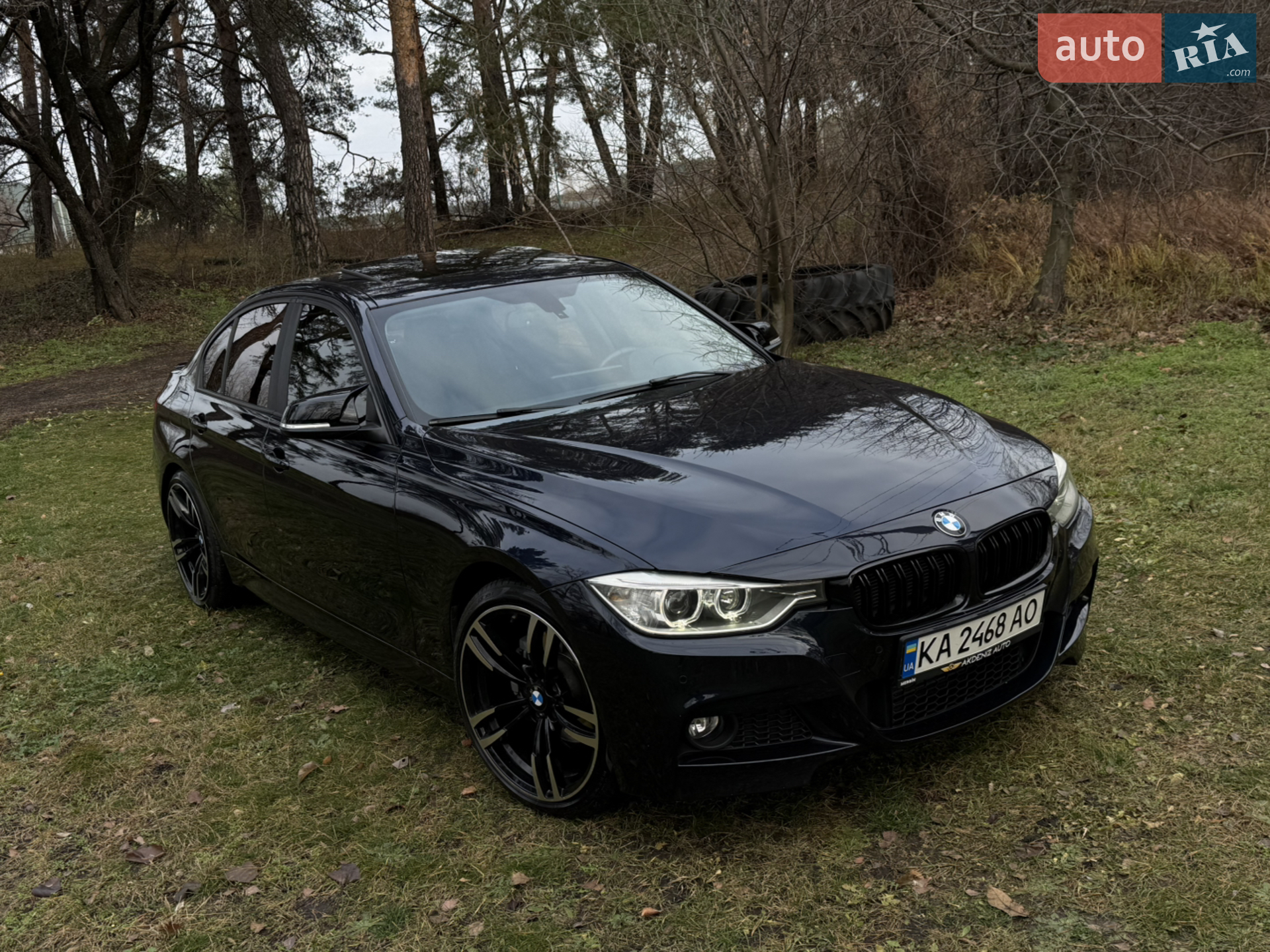 2014 BMW 3er - мініатюра 4