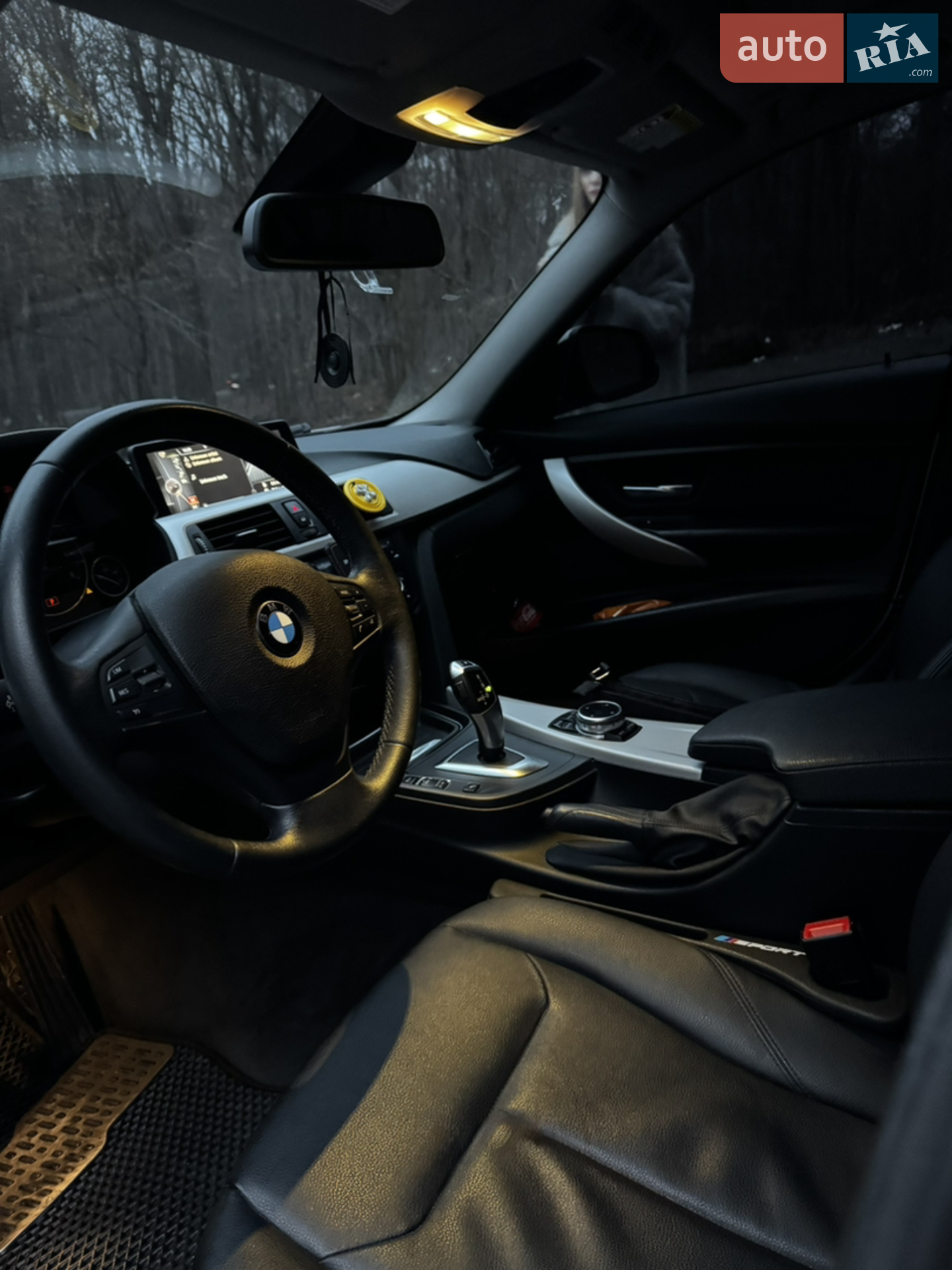 2014 BMW 3er - мініатюра 16