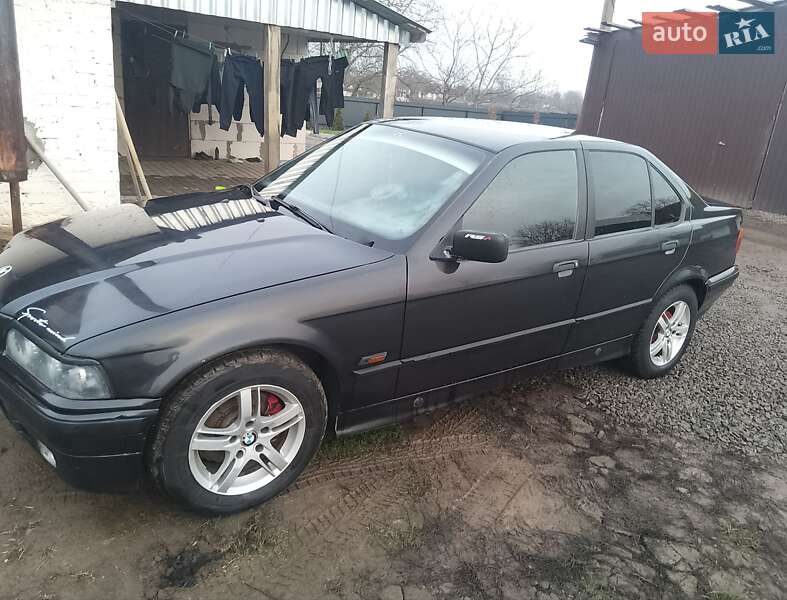 BMW 3 Series 1996 BMW 3 Series 1996