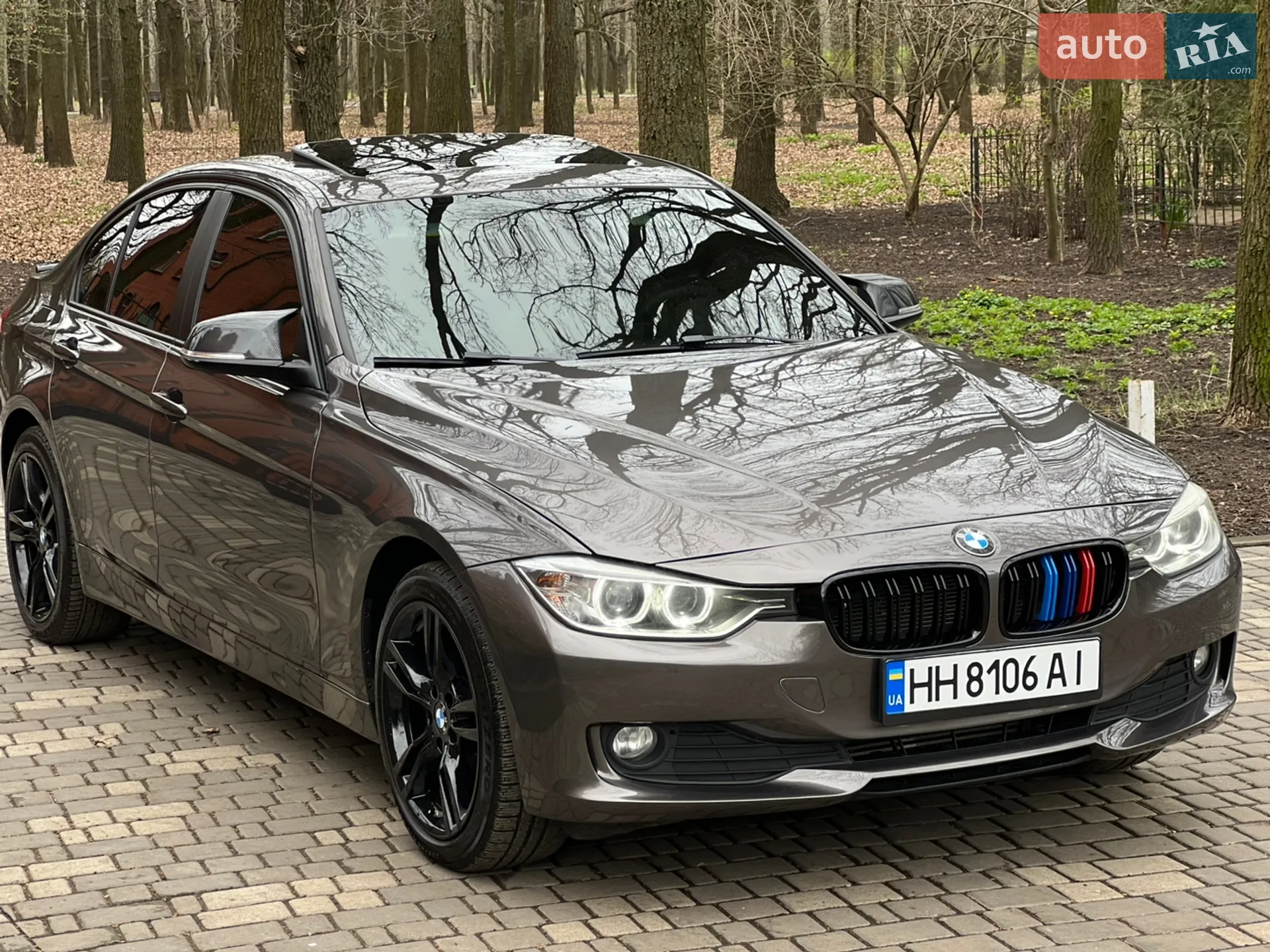 2014 BMW 3er - мініатюра 32