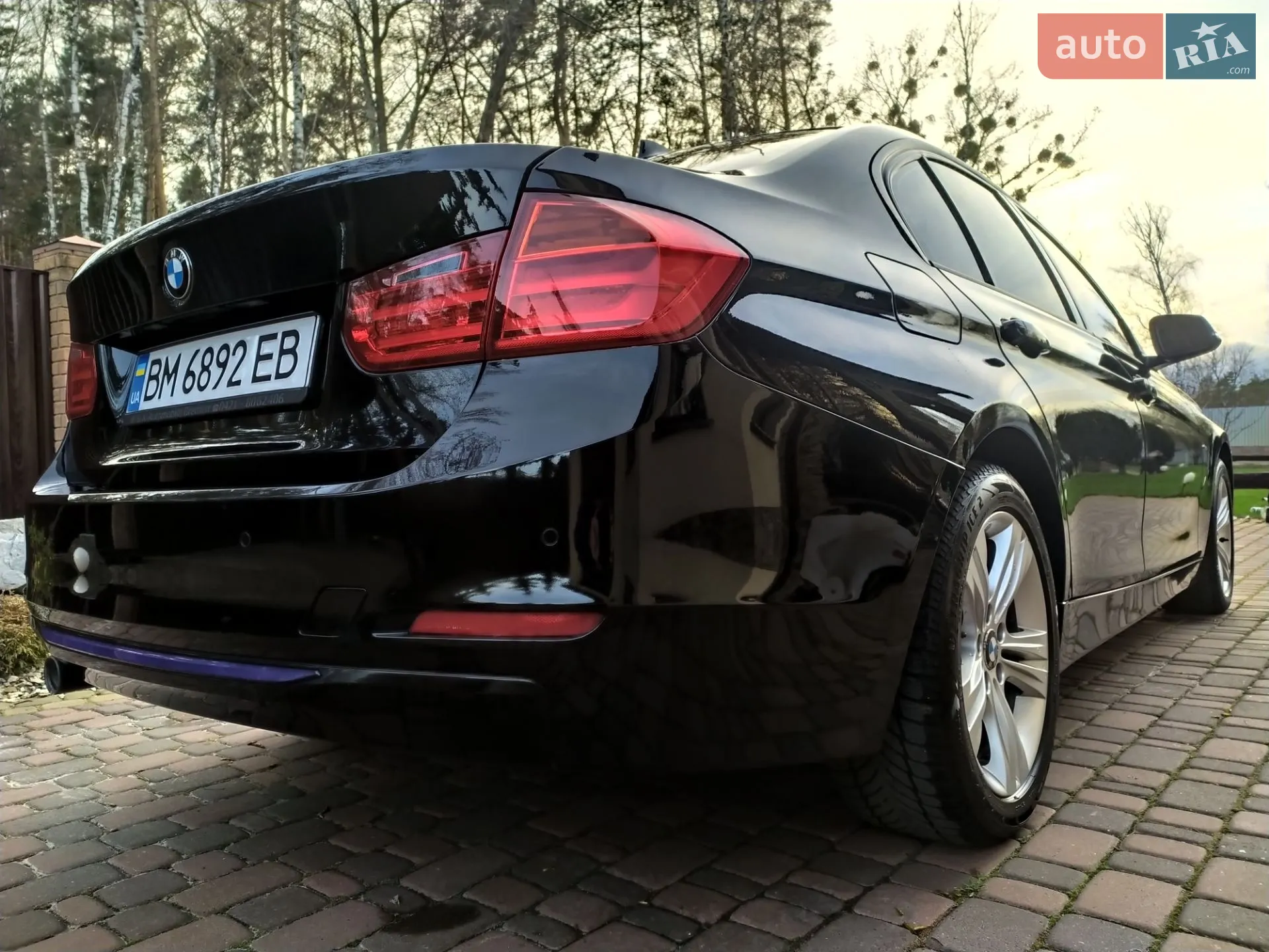 2014 BMW 3er - мініатюра 12