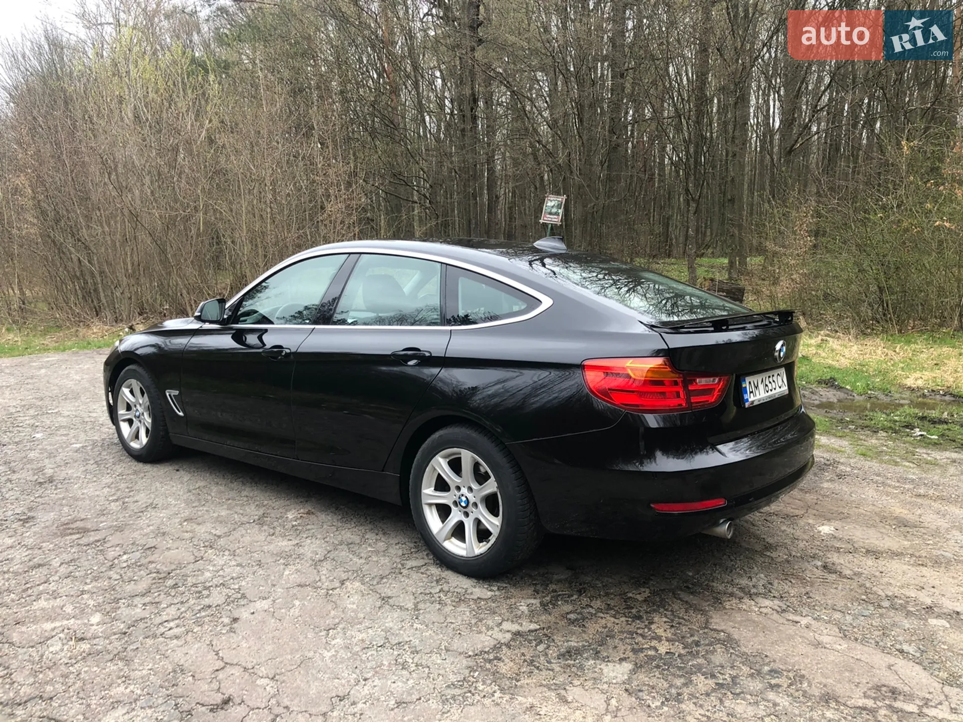 2014 BMW 3er - мініатюра 5