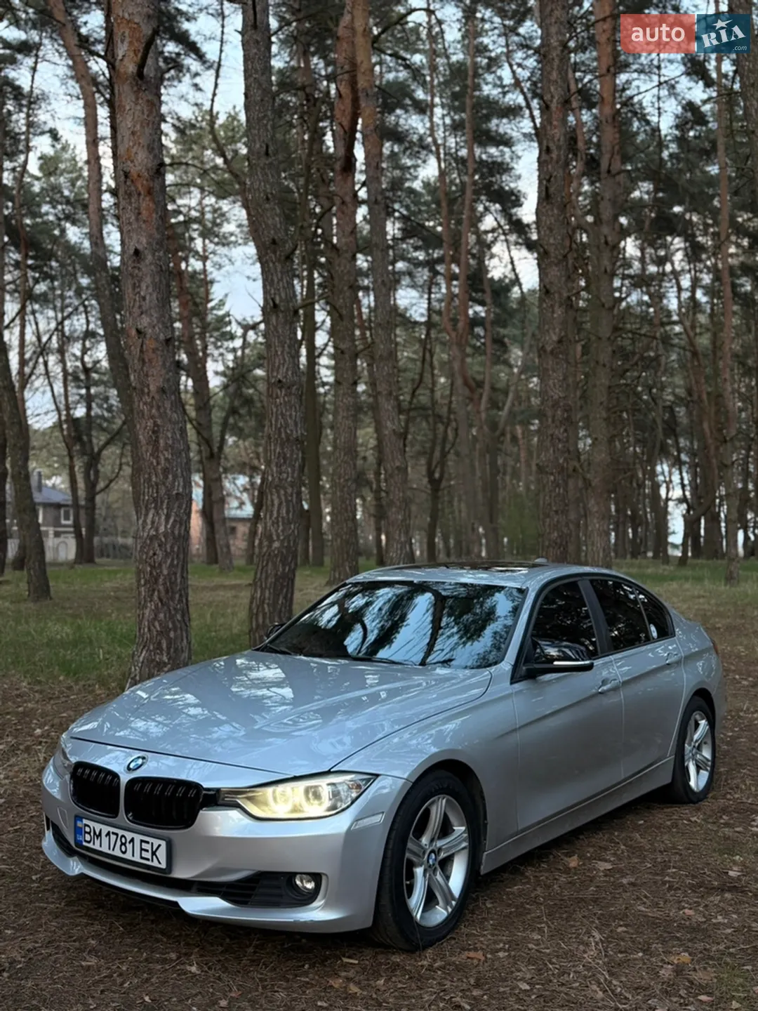 2013 BMW 3er - мініатюра 5