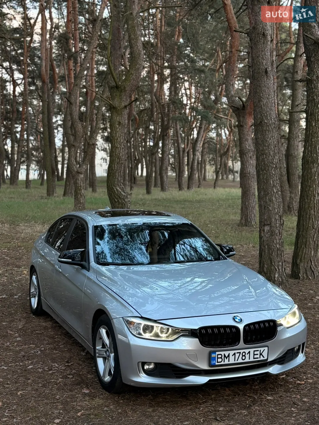 2013 BMW 3er - мініатюра 26