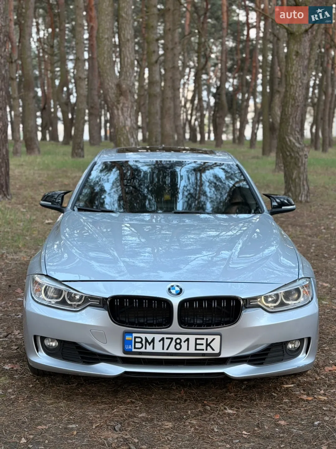 2013 BMW 3er - мініатюра 27