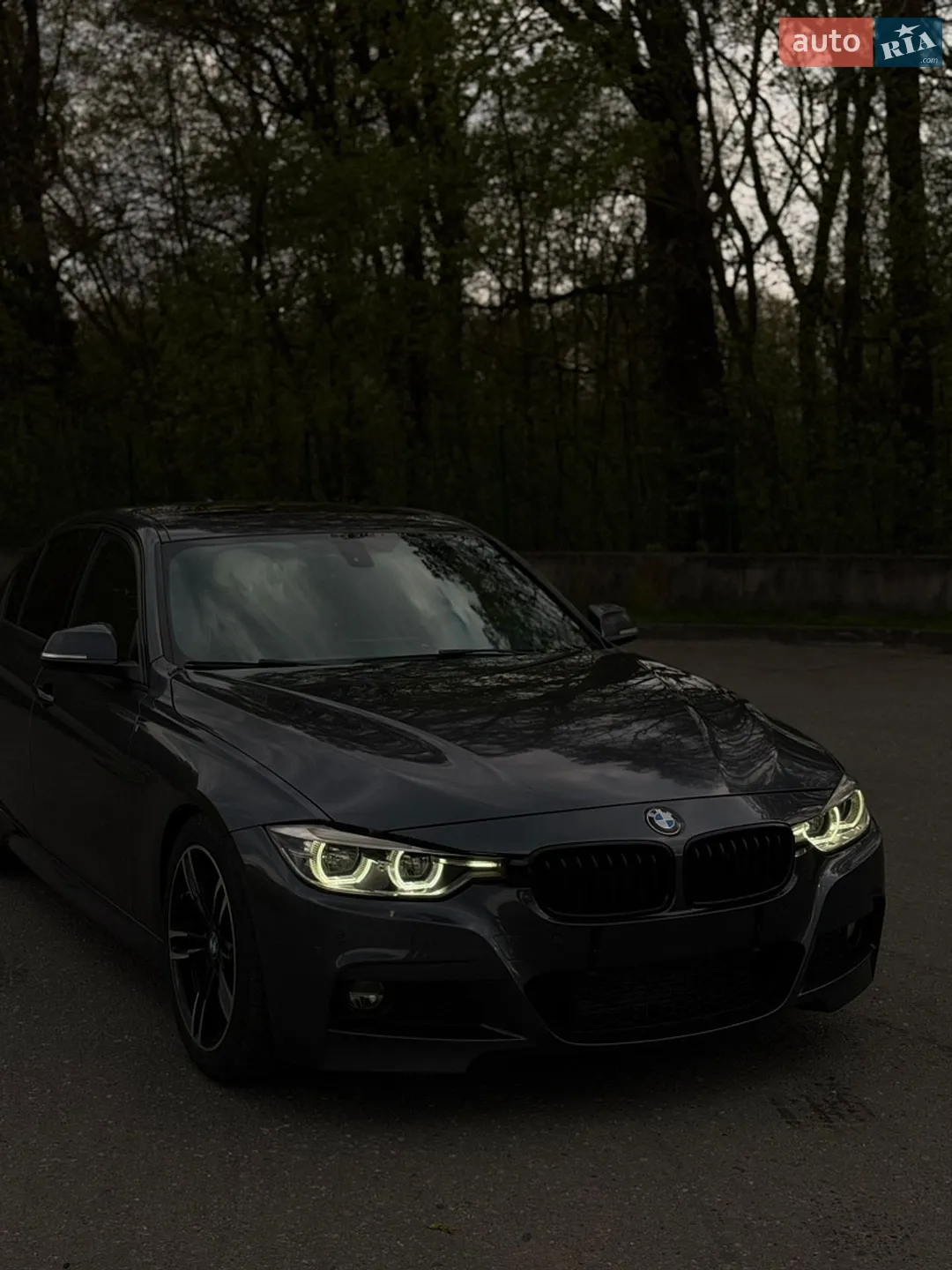2016 BMW 3er - мініатюра 8