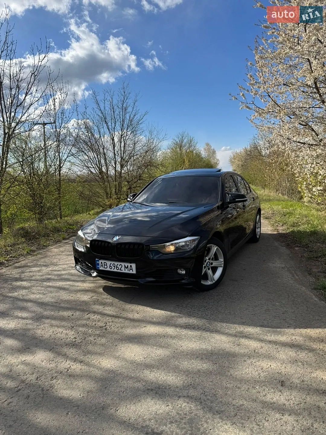 2013 BMW 3er - мініатюра 2