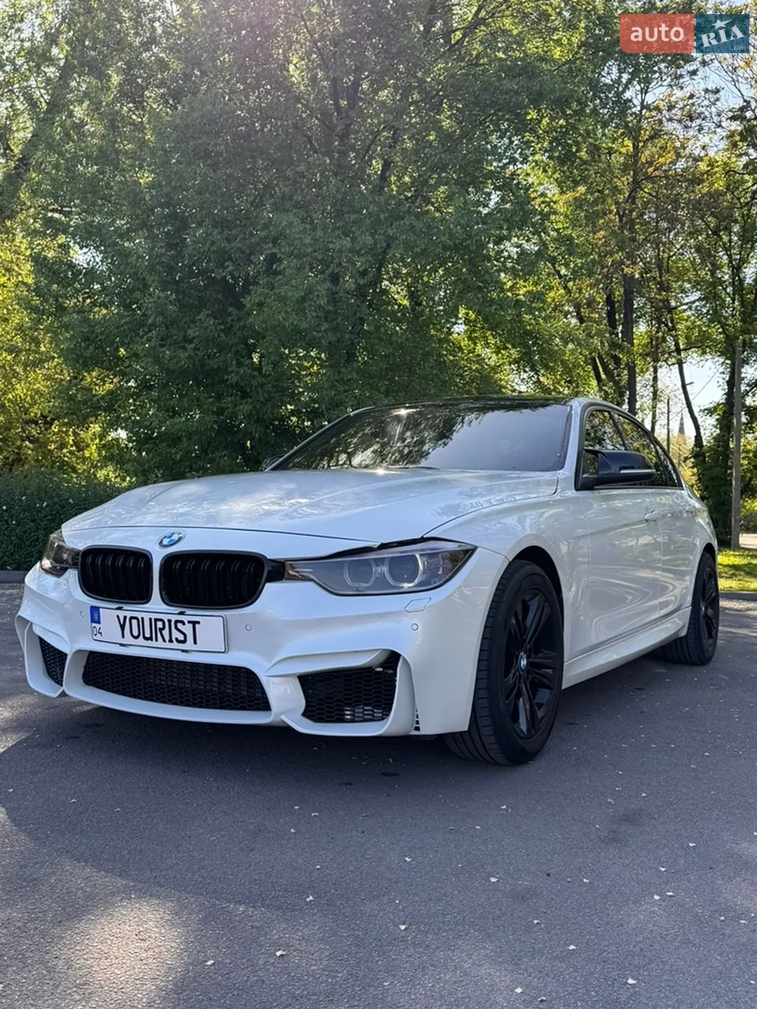 2013 BMW 3er - мініатюра 4