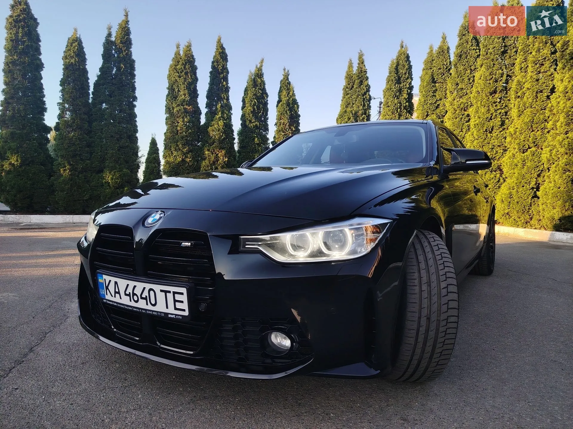 2013 BMW 3er - мініатюра 2