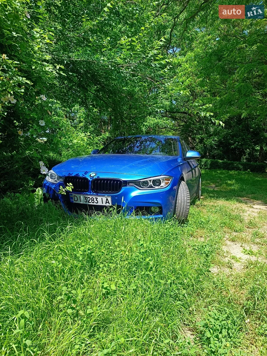 2013 BMW 3er - мініатюра 13