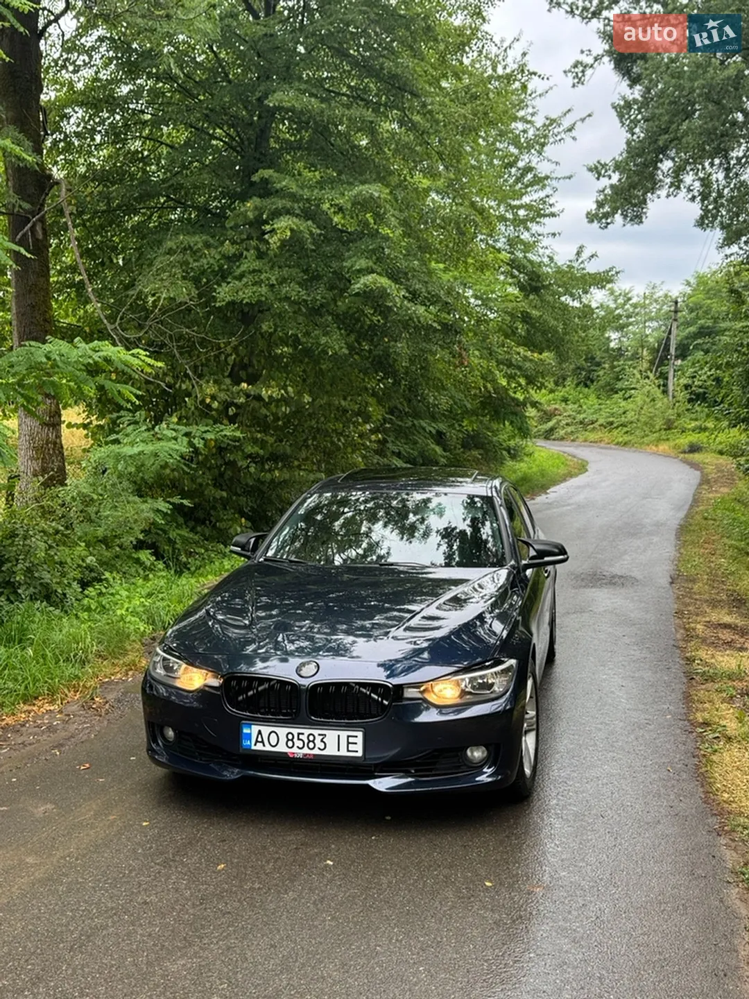 2014 BMW 3er - мініатюра 2