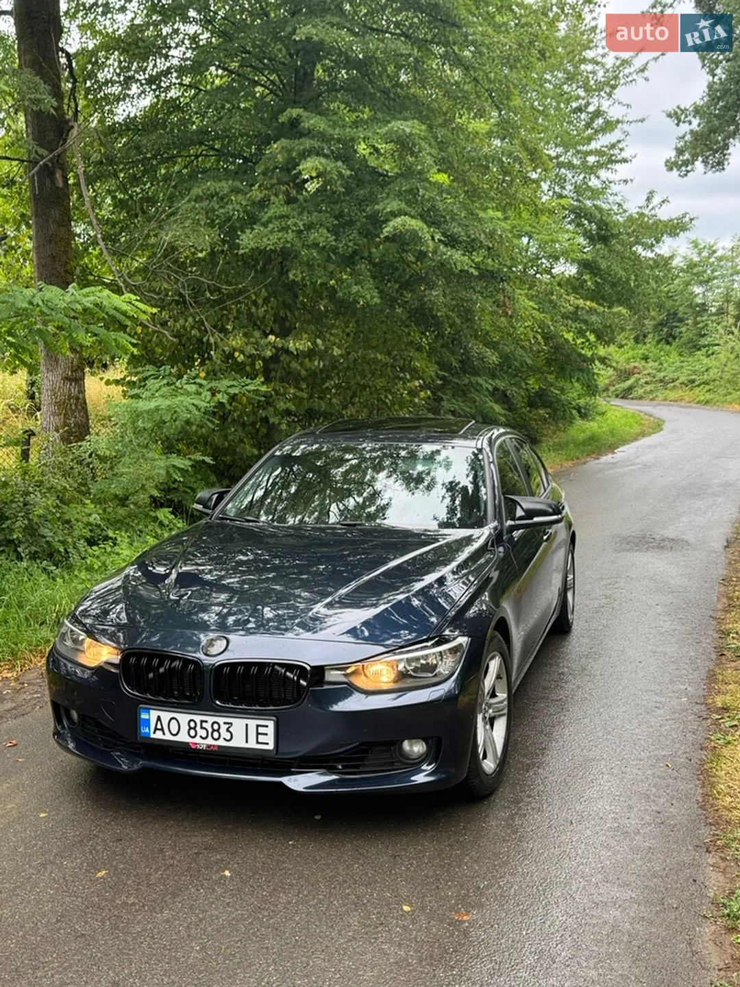 2014 BMW 3er - мініатюра 5
