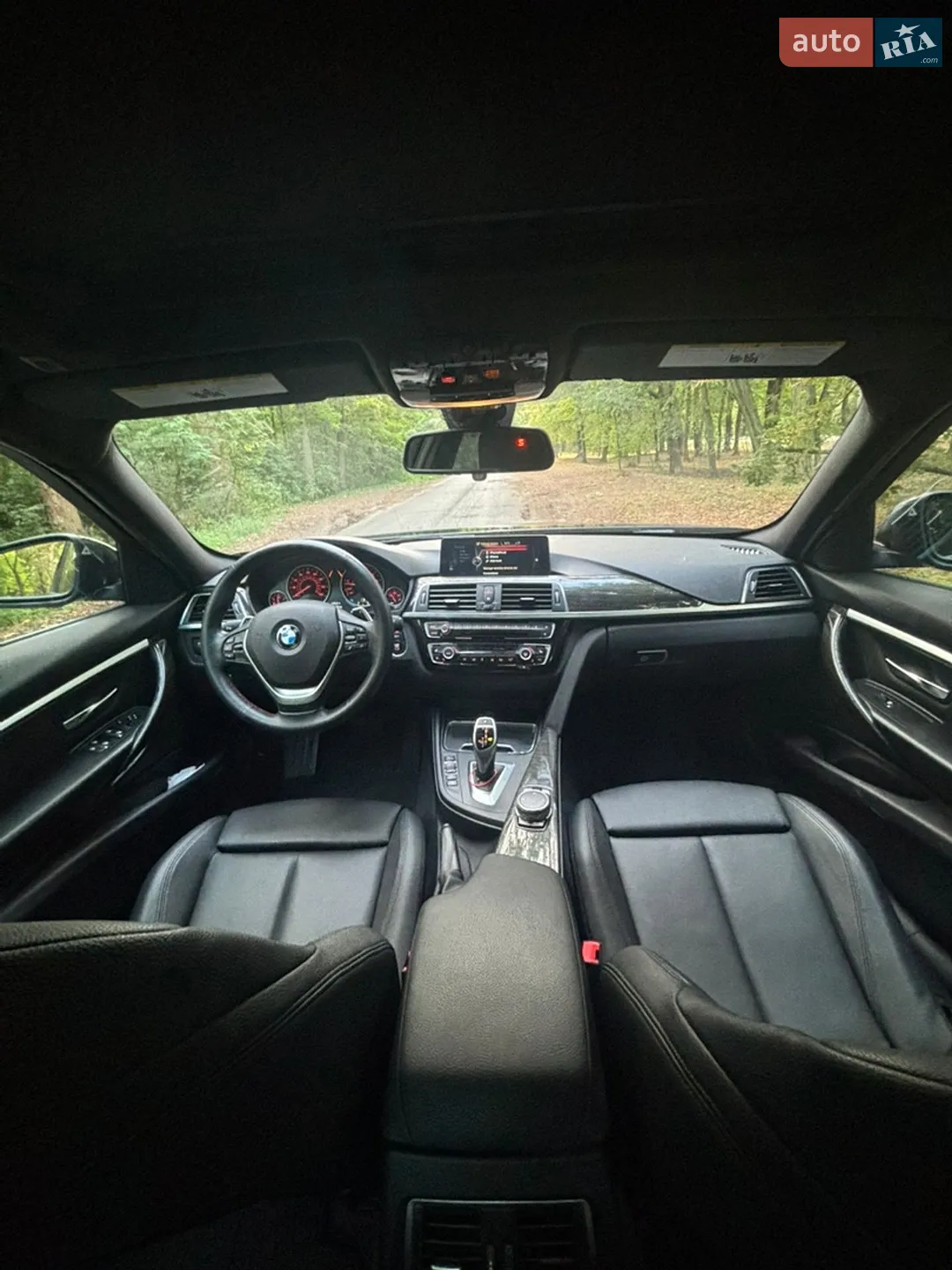 2016 BMW 3er - мініатюра 11