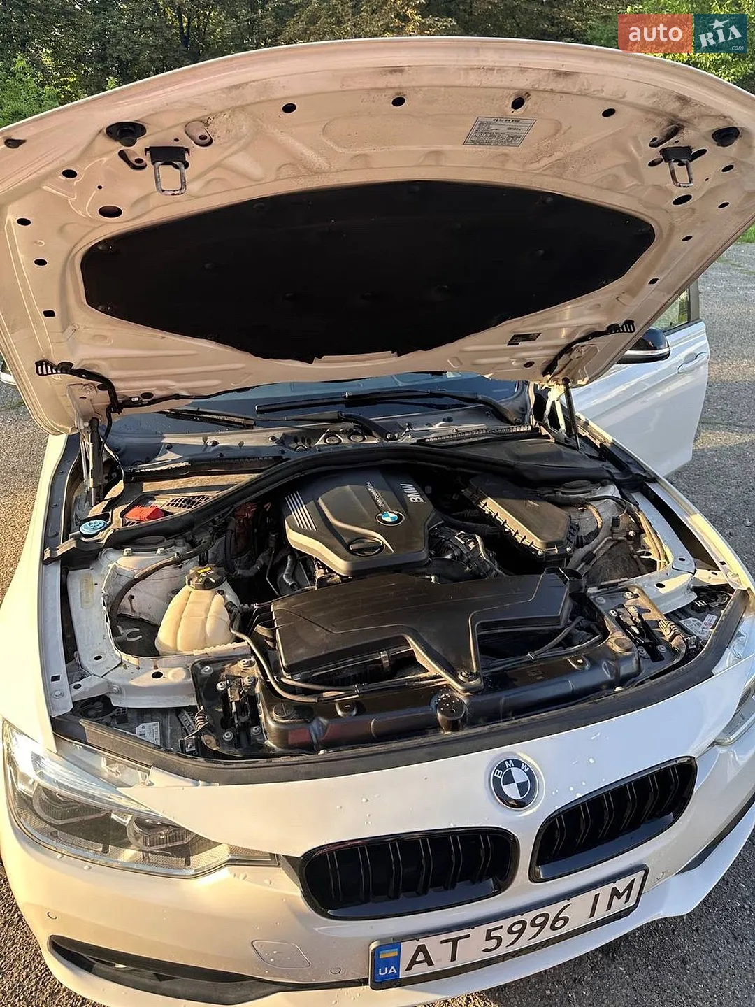 2016 BMW 3er - мініатюра 7