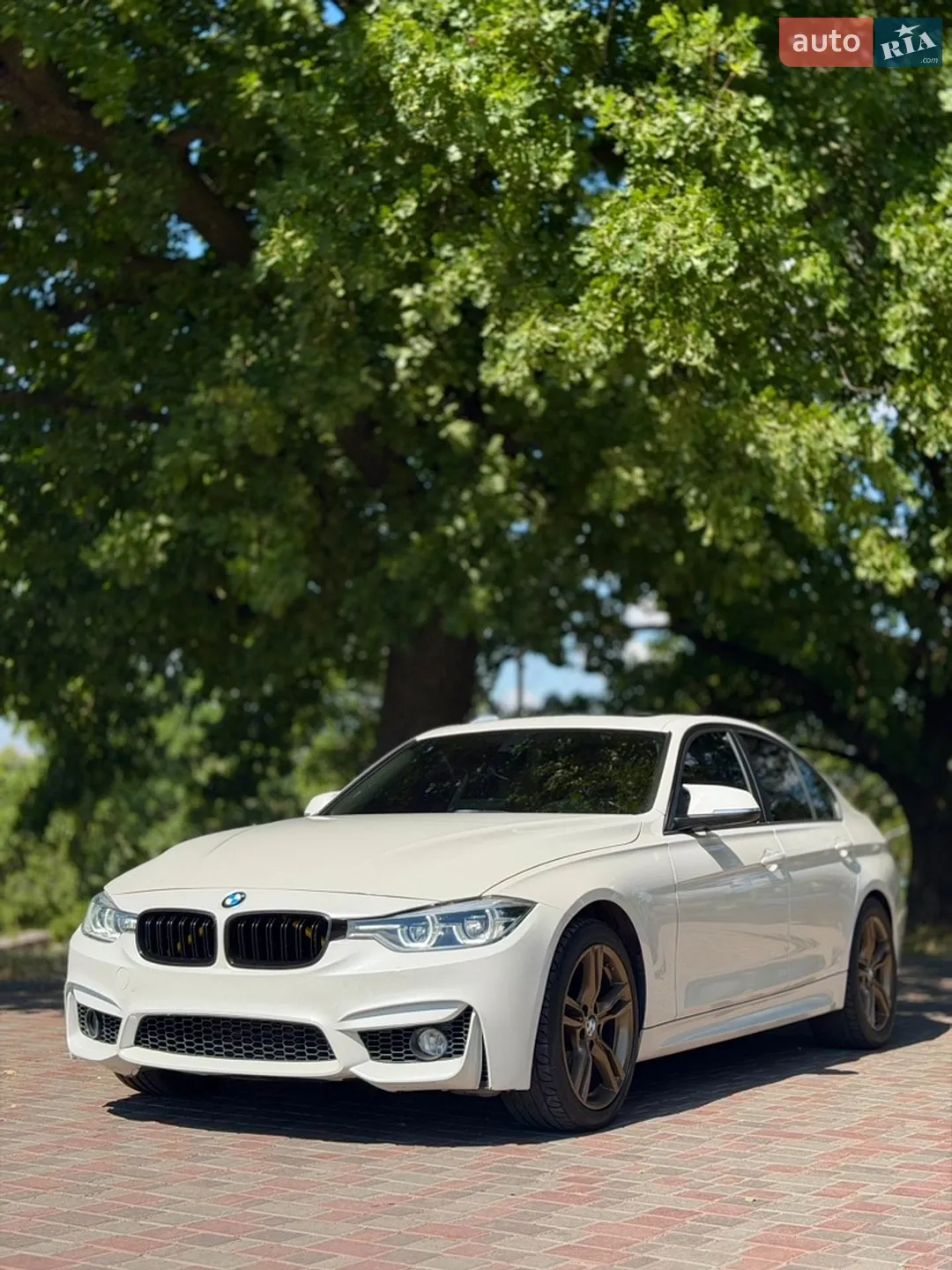 2012 BMW 3er - мініатюра 4