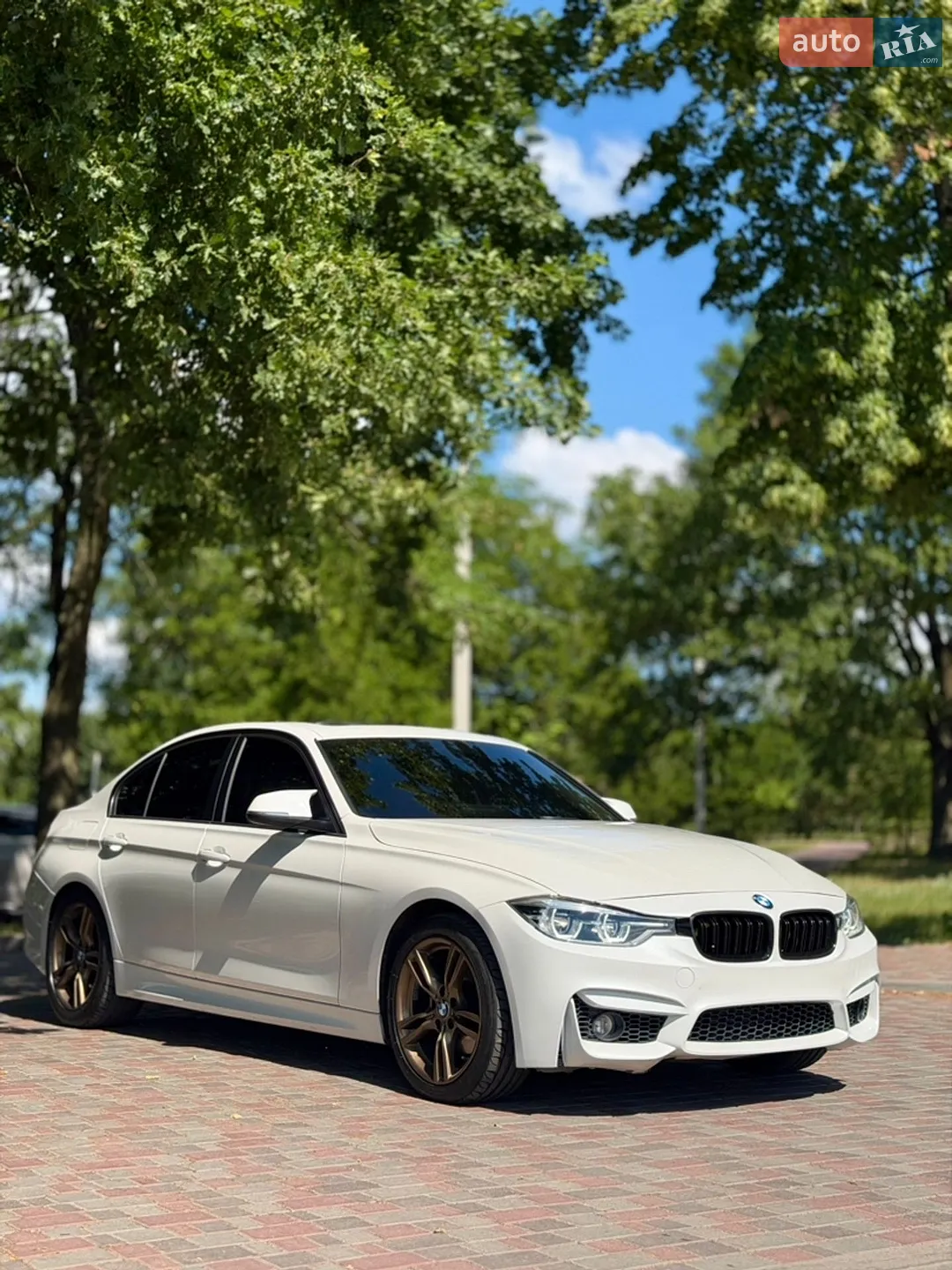 2012 BMW 3er - мініатюра 5