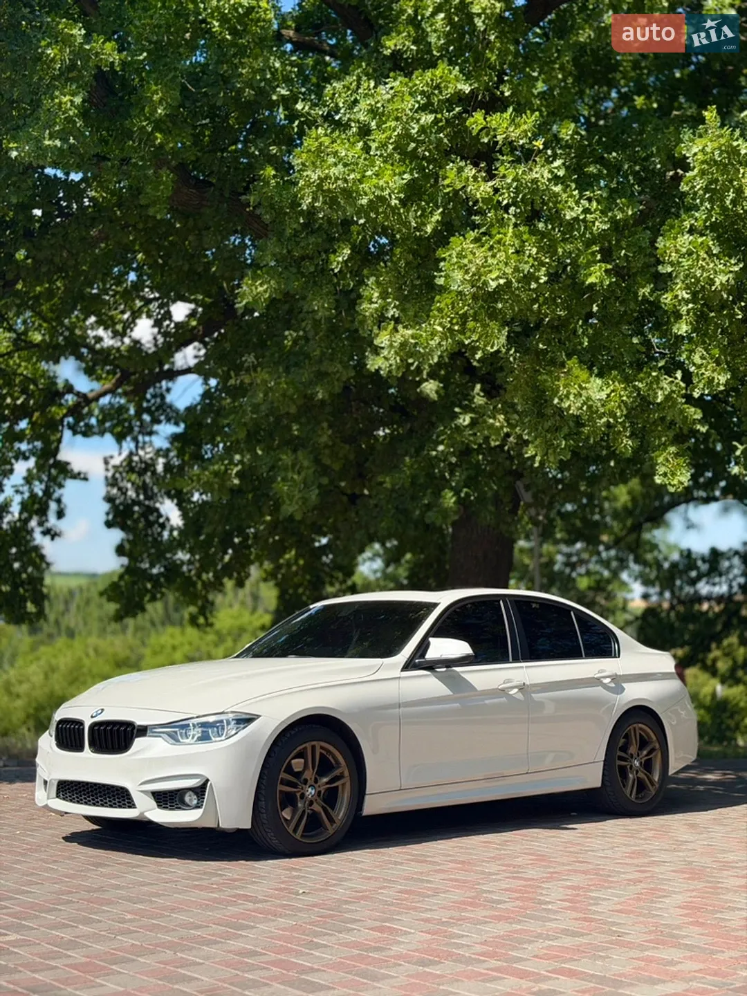 2012 BMW 3er - мініатюра 7