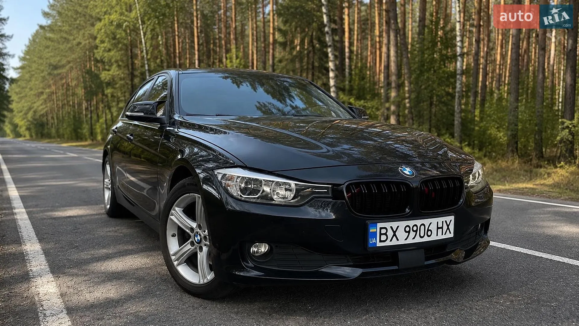 2013 BMW 3er - мініатюра 8